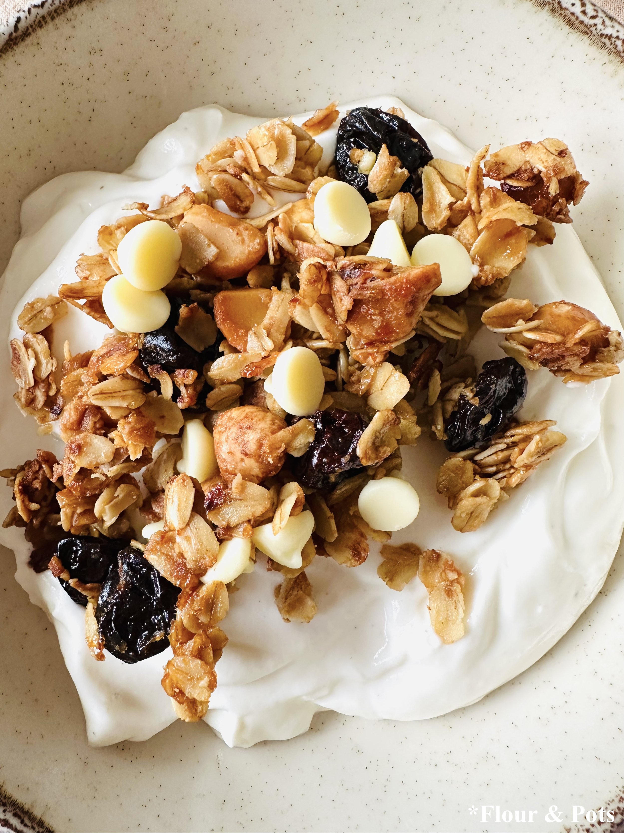 Macadamia Nut Cherry White Chip Granola on Granola Close-up