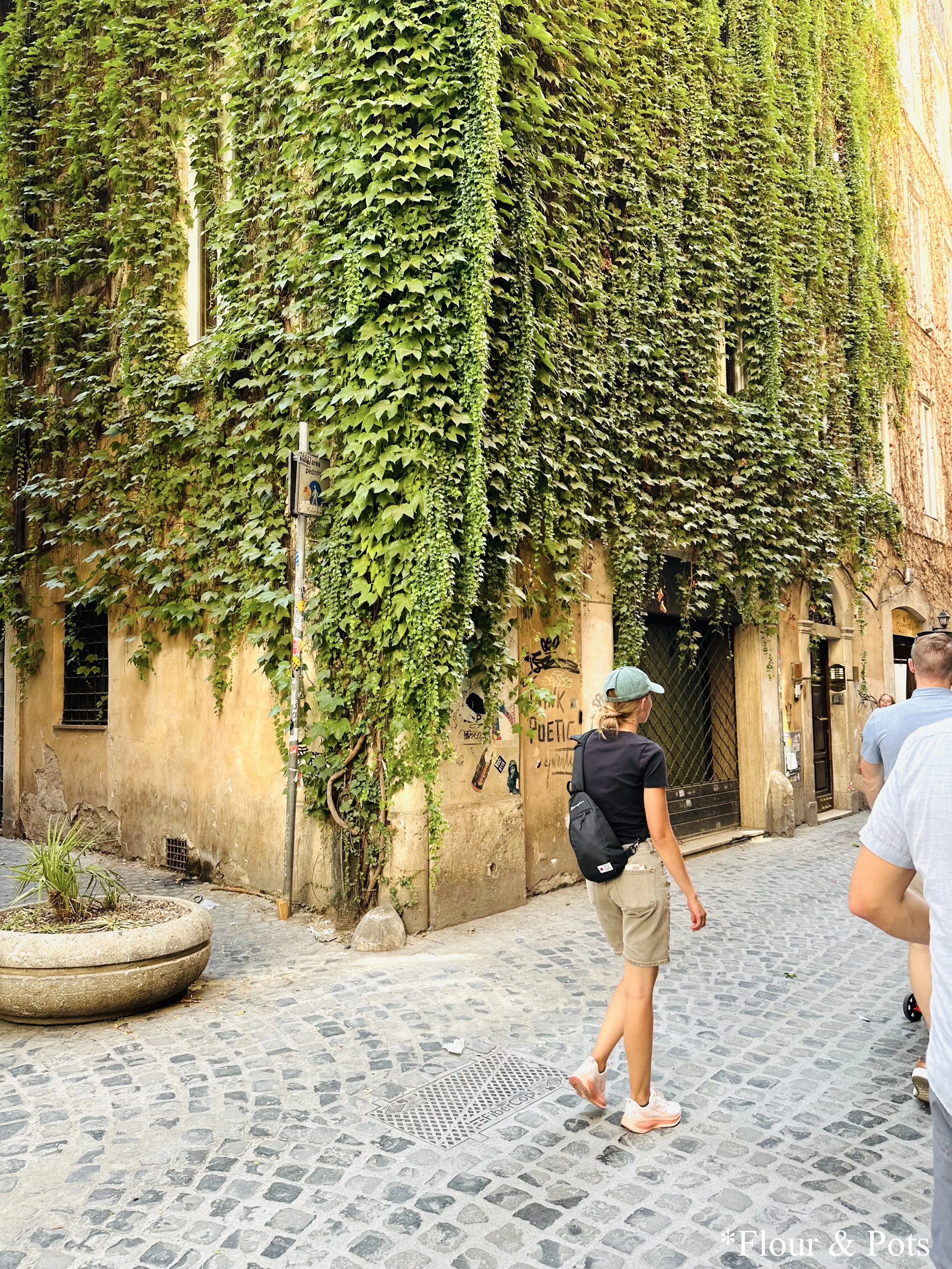 Cobblestone street with greenery-covered walls in Rome, Italy, capturing the city's charming, historic atmosphere.