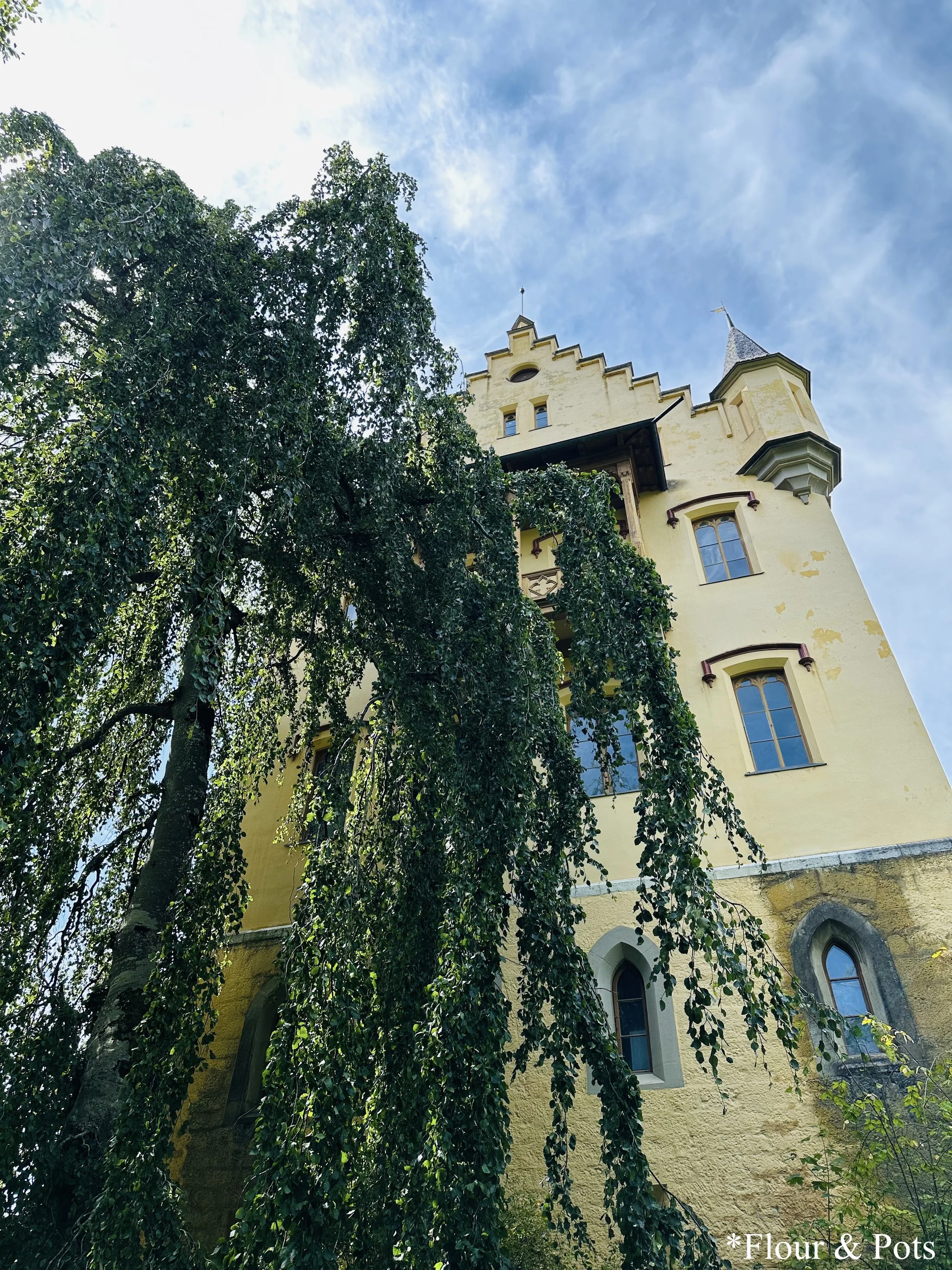 View looking up at Hohenschwangau Castle, perched on a hillside in the Bavarian Alps with a clear blue sky above.