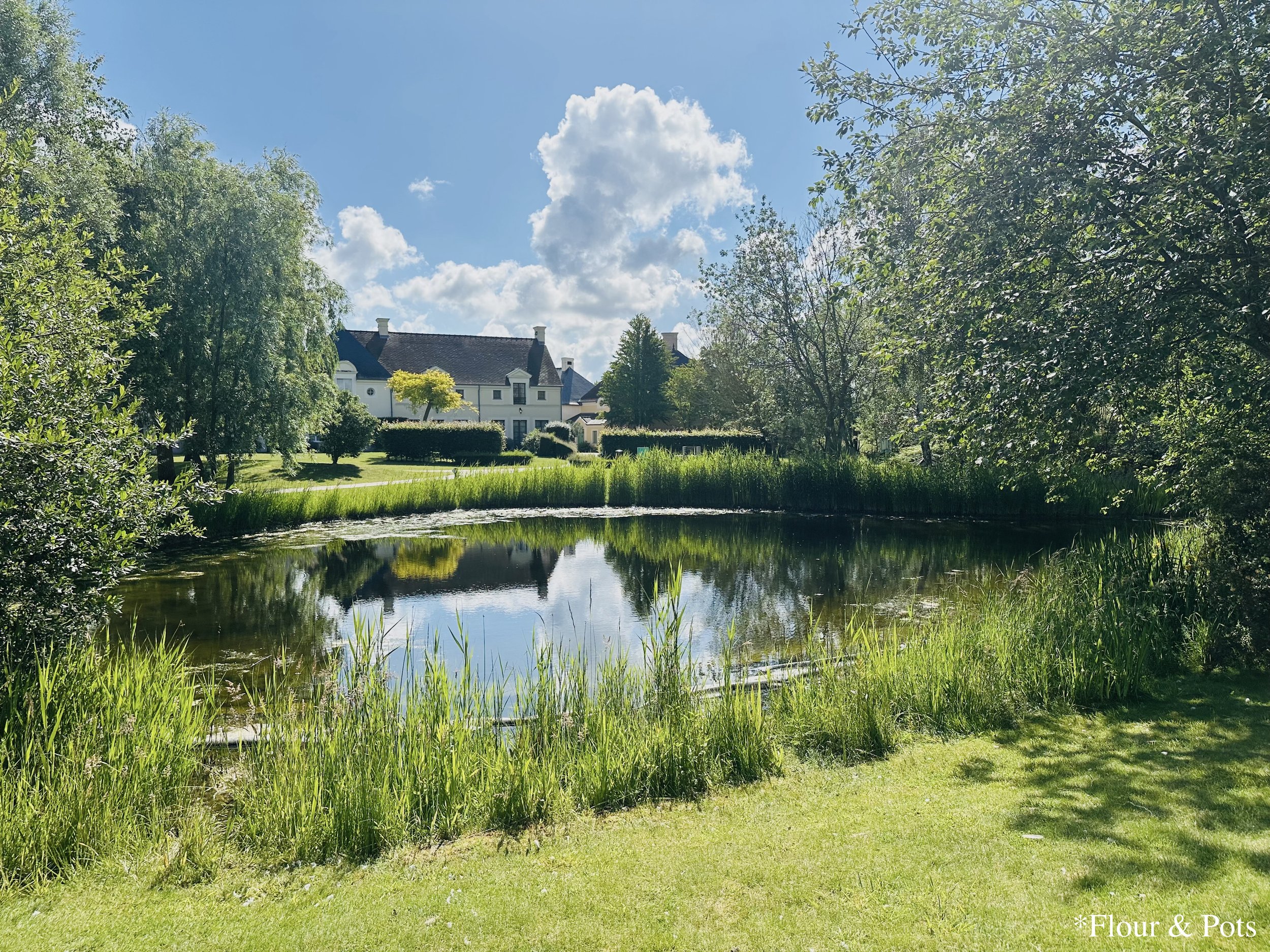 Soft morning light reflecting on the pond at Marriott’s Village d’Île-de-France in Paris, surrounded by greenery and charming villas in June.