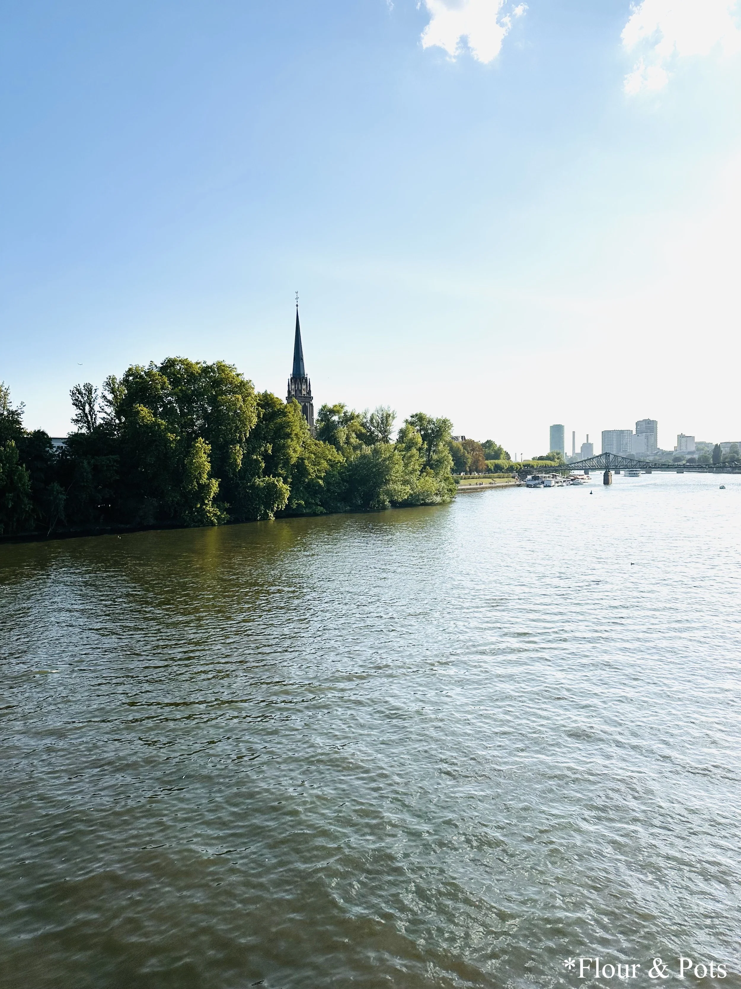 Panoramic view of the Main River flowing through Frankfurt, Germany, with city skyline and bridges in the background.