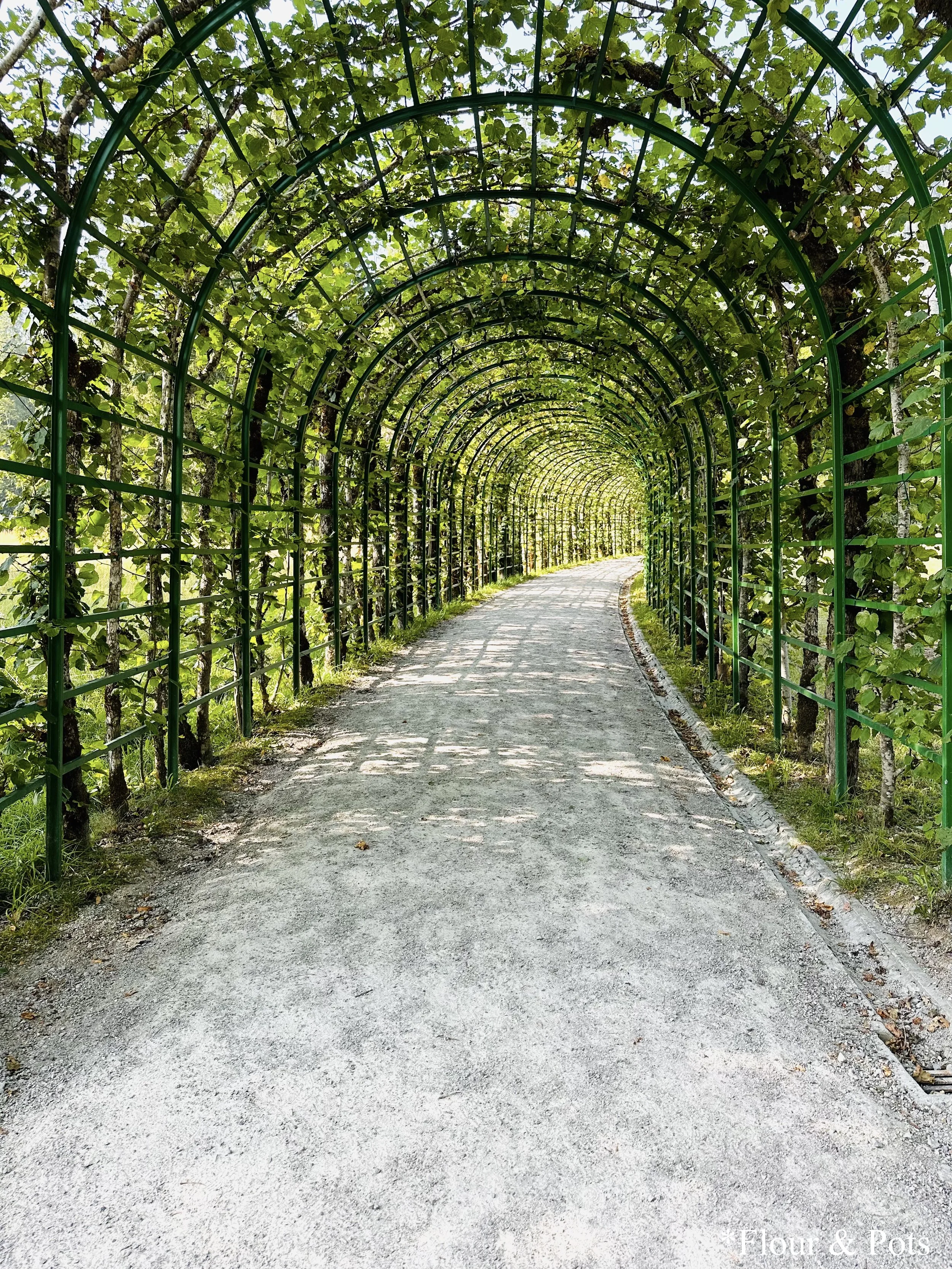 Caged walkway leading up to the Venus Grotto at Linderhof Palace, surrounded by lush greenery.