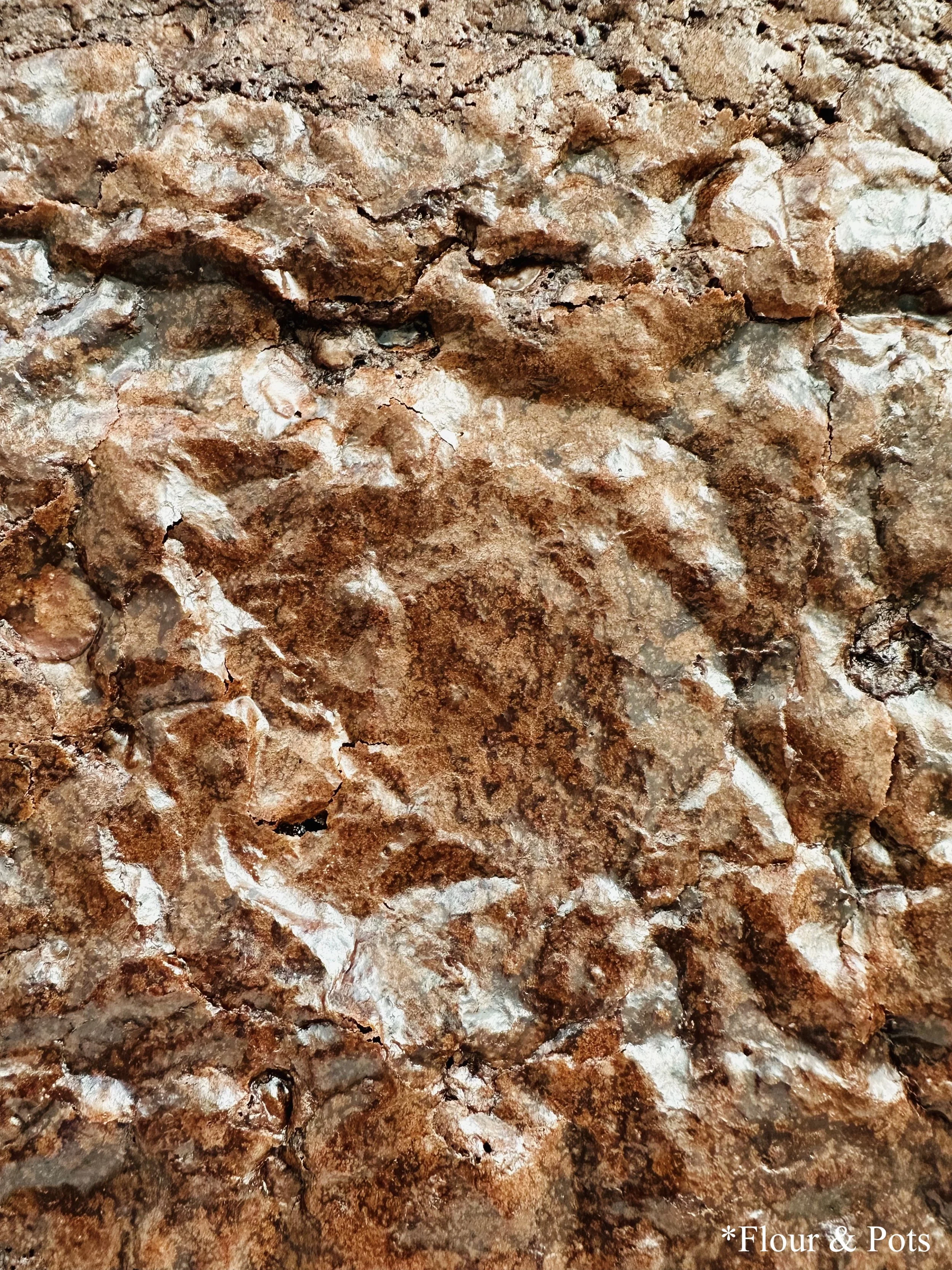 Homemade chocolate brownie with a soft, fudgy interior and crisp top.