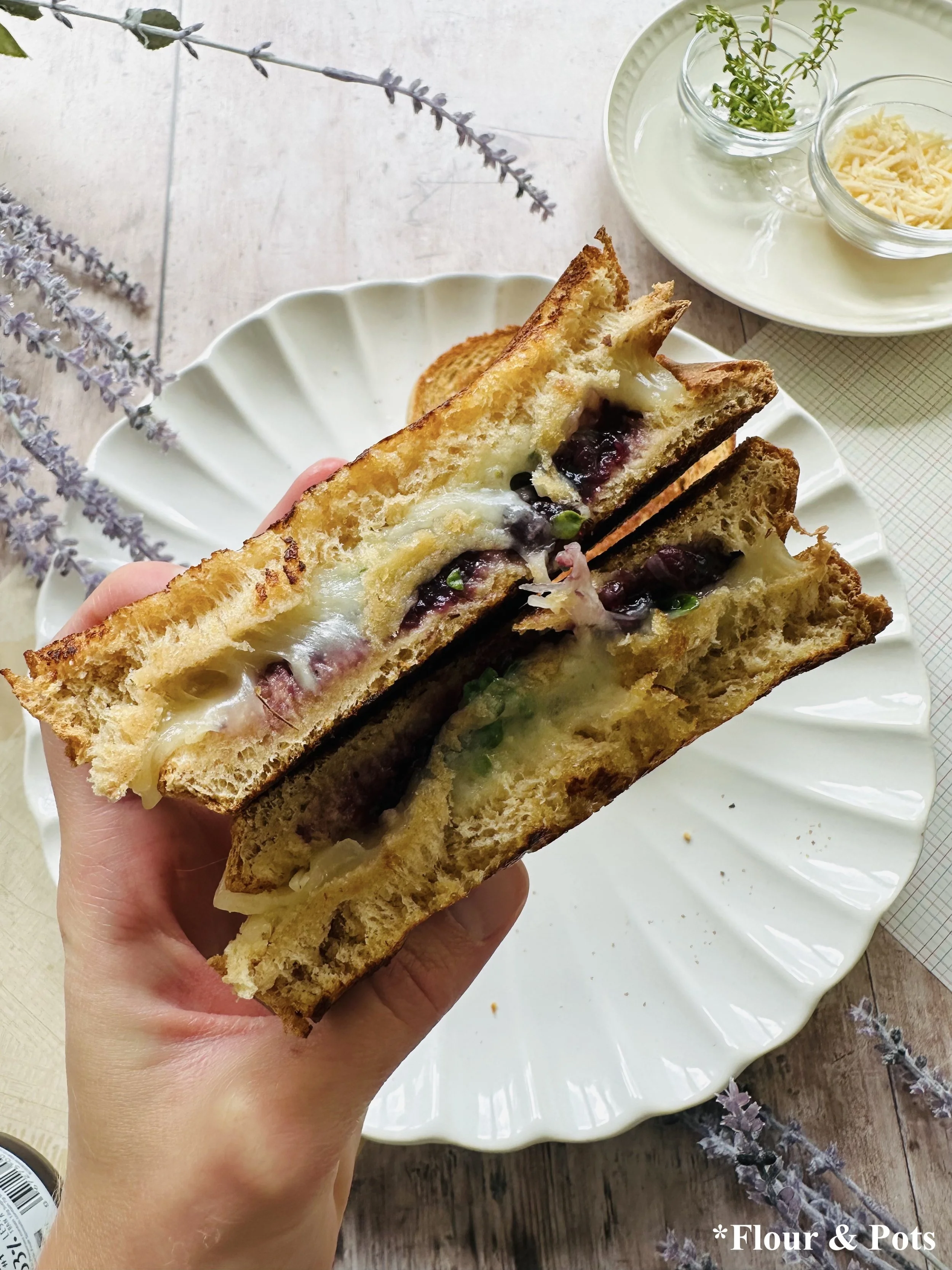Fancy Grilled Cheese Close-Up
