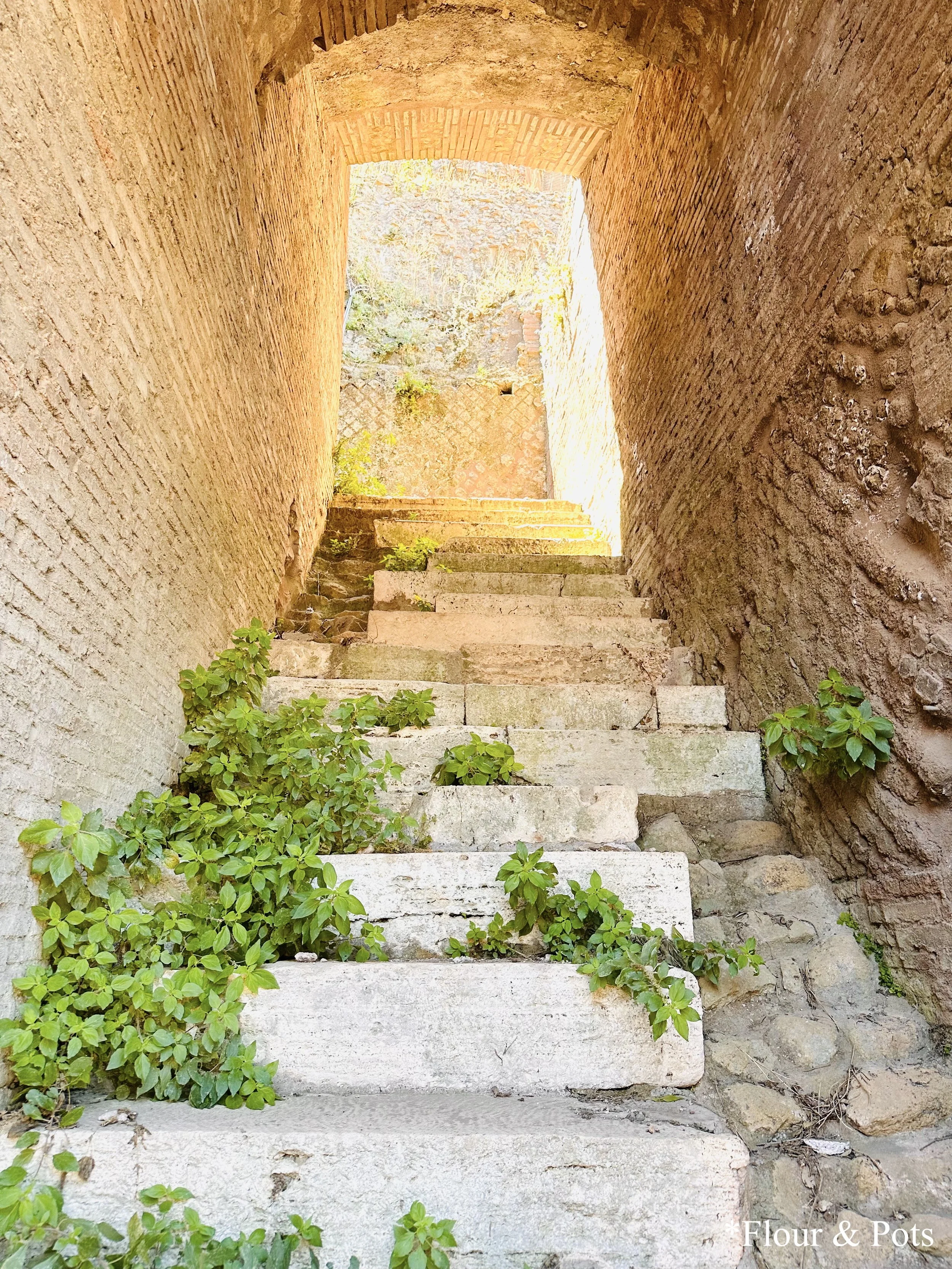 Ruin walkway in Rome, Italy, showcasing ancient stone paths and historical architecture.