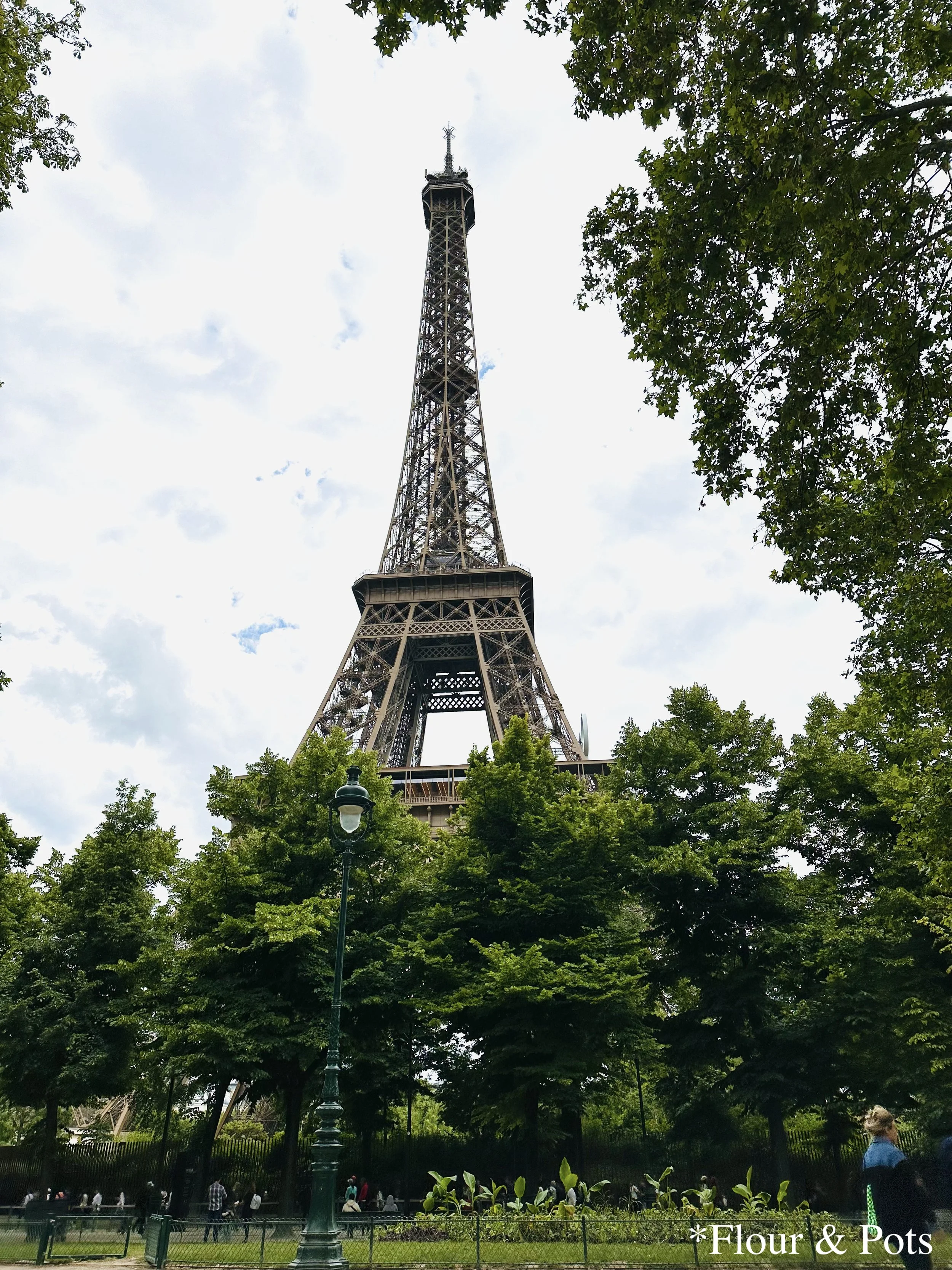 The Eiffel Tower surrounded by green trees at its base in Paris, France, during June 2024 - before the Summer Olympics.