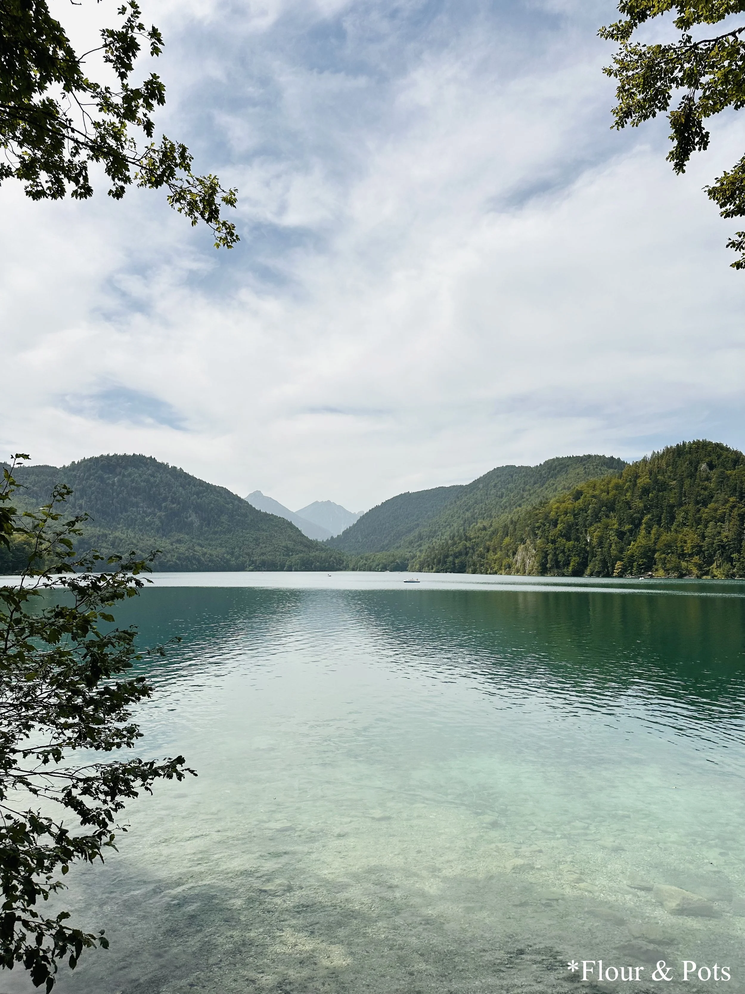Calm waters of Alpsee Lake, located between Neuschwanstein and Hohenschwangau Castles, surrounded by lush greenery and the Bavarian Alps.