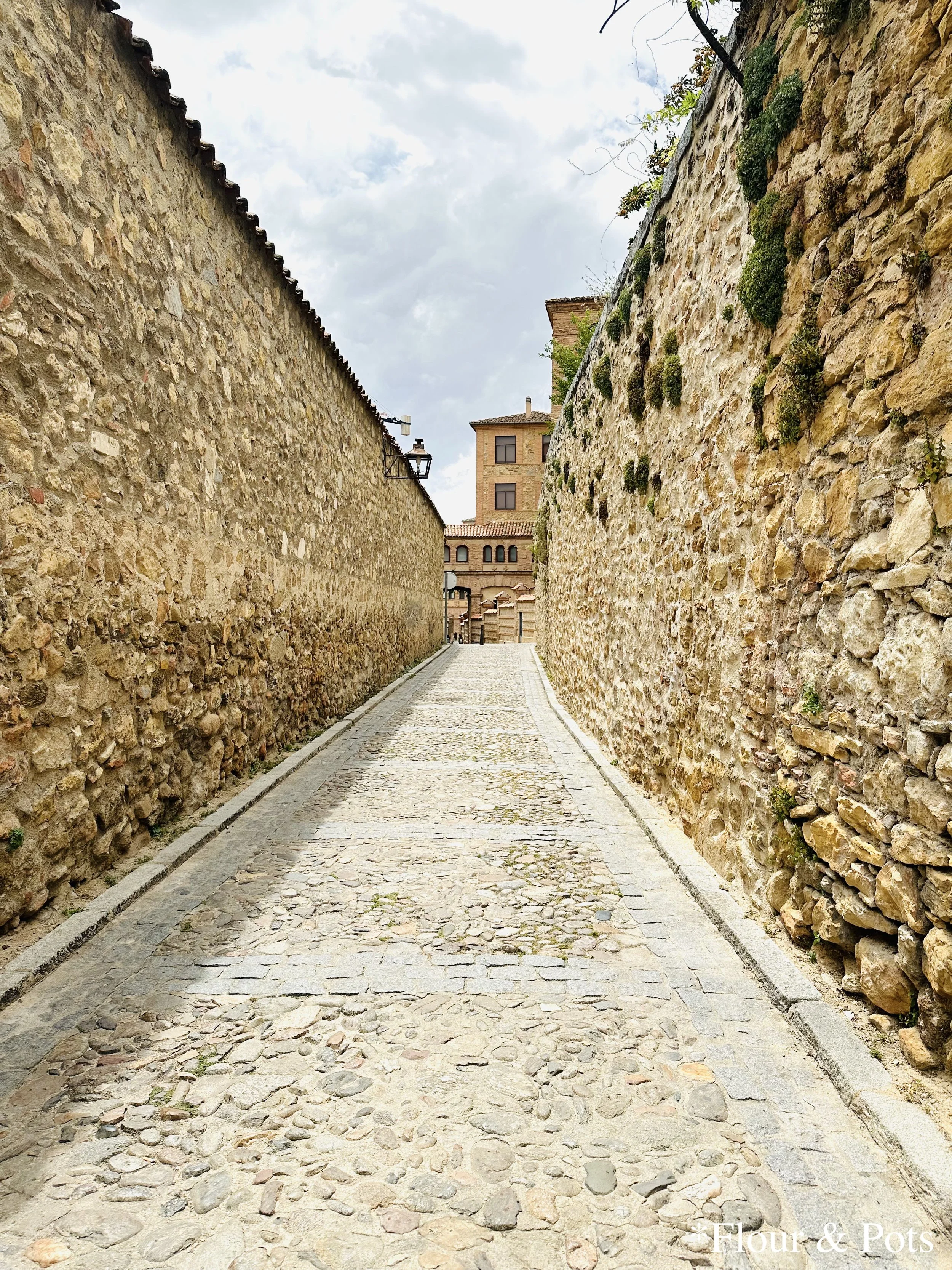 A stone and moss-covered walkway in Segovia, Spain, featuring warm, tan-colored stones arranged in a traditional Spanish style. The path is framed by greenery and natural moss, evoking a rustic and timeless atmosphere.