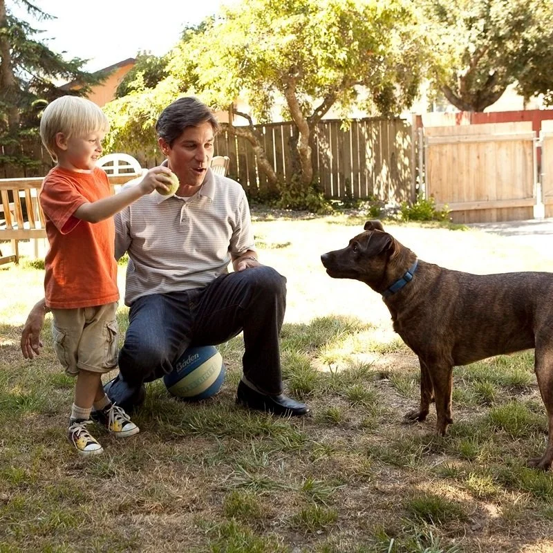 boy man dog yard.jpg