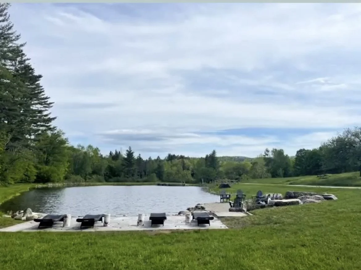 A serene outdoor scene featuring a small lake with a dock, surrounded by lush green grass and trees under a partly cloudy sky.