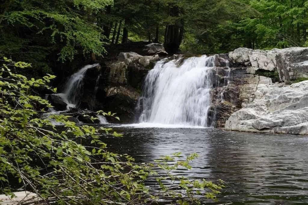 A small waterfall cascading over rocks into a calm pool surrounded by lush green trees in a forest.