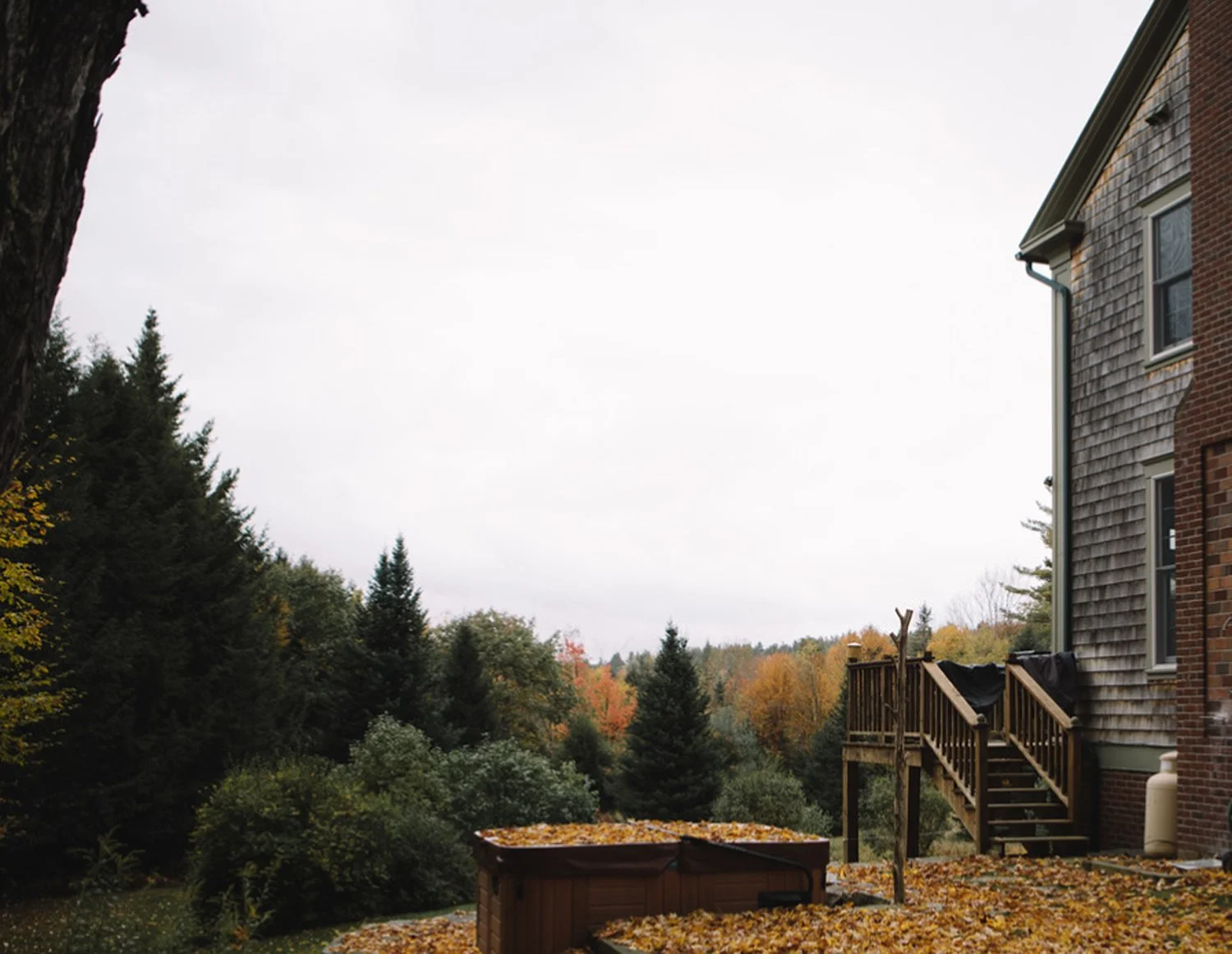 View of a backyard with a small wooden deck attached to a brick and shingled house, surrounded by trees with autumn foliage, and fallen leaves on the ground.