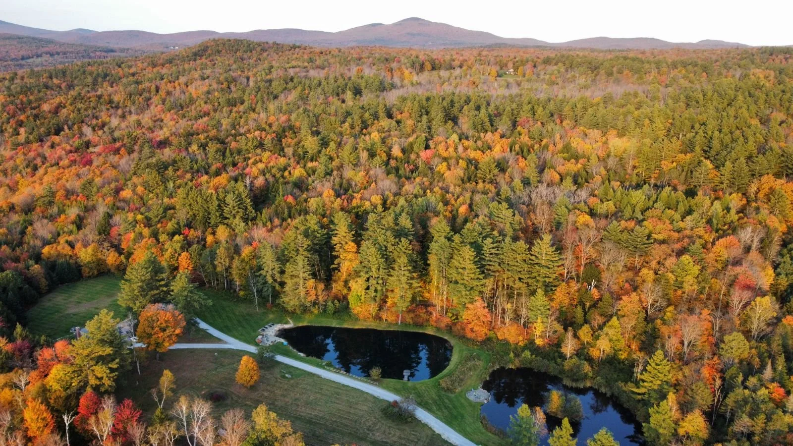 Aerial view of a forest with trees in fall colors surrounding a small lake with a curved shoreline, near a grassy area and a driveway.