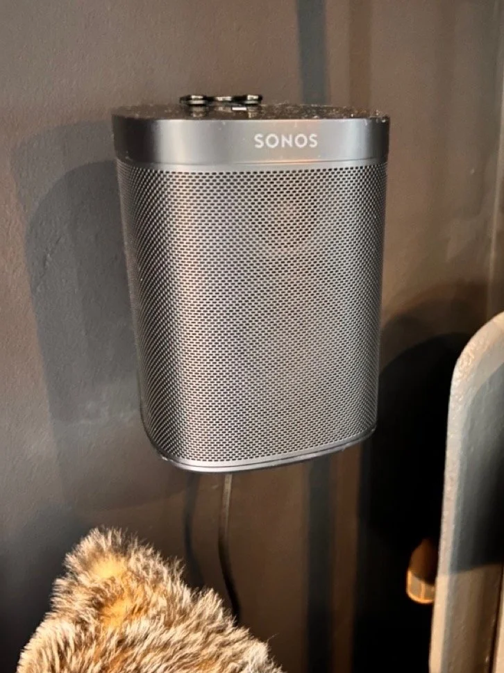 A Sonos speaker mounted on a wall, with a furry object partially visible at the bottom in a cozy setting.