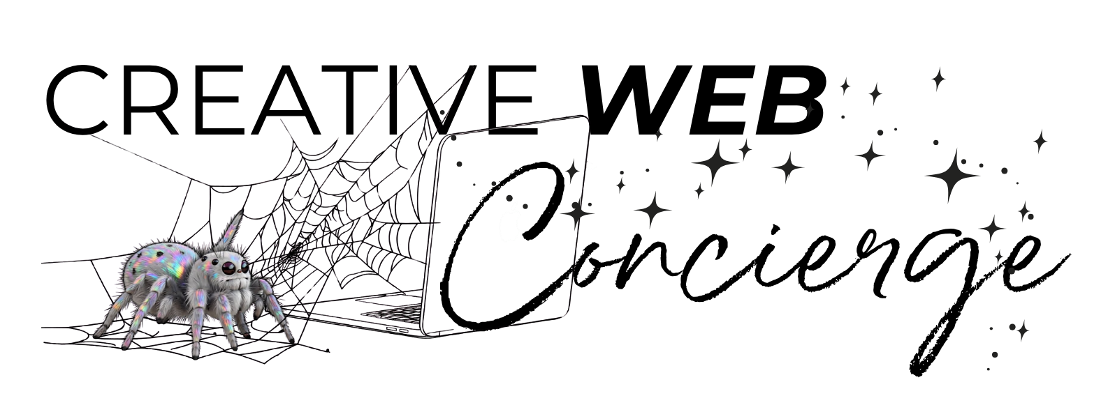 A cute, fluffy, iridescent spider on a web, next to a black iPhone with the Apple logo, with sparkles and stars around.