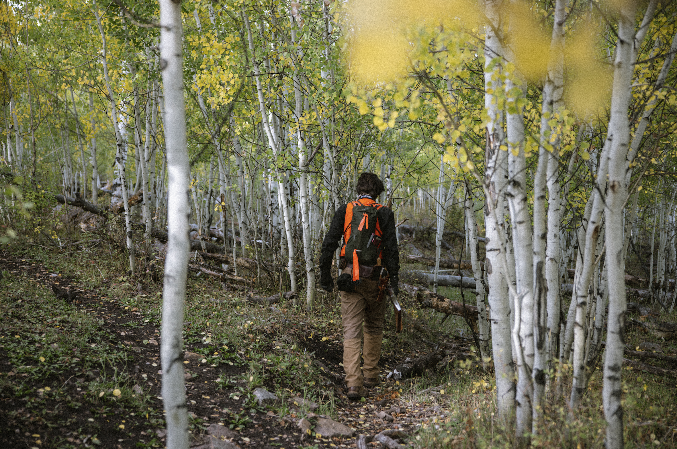 Screenshot 2025-11-08 at 11.24.47 PM.png