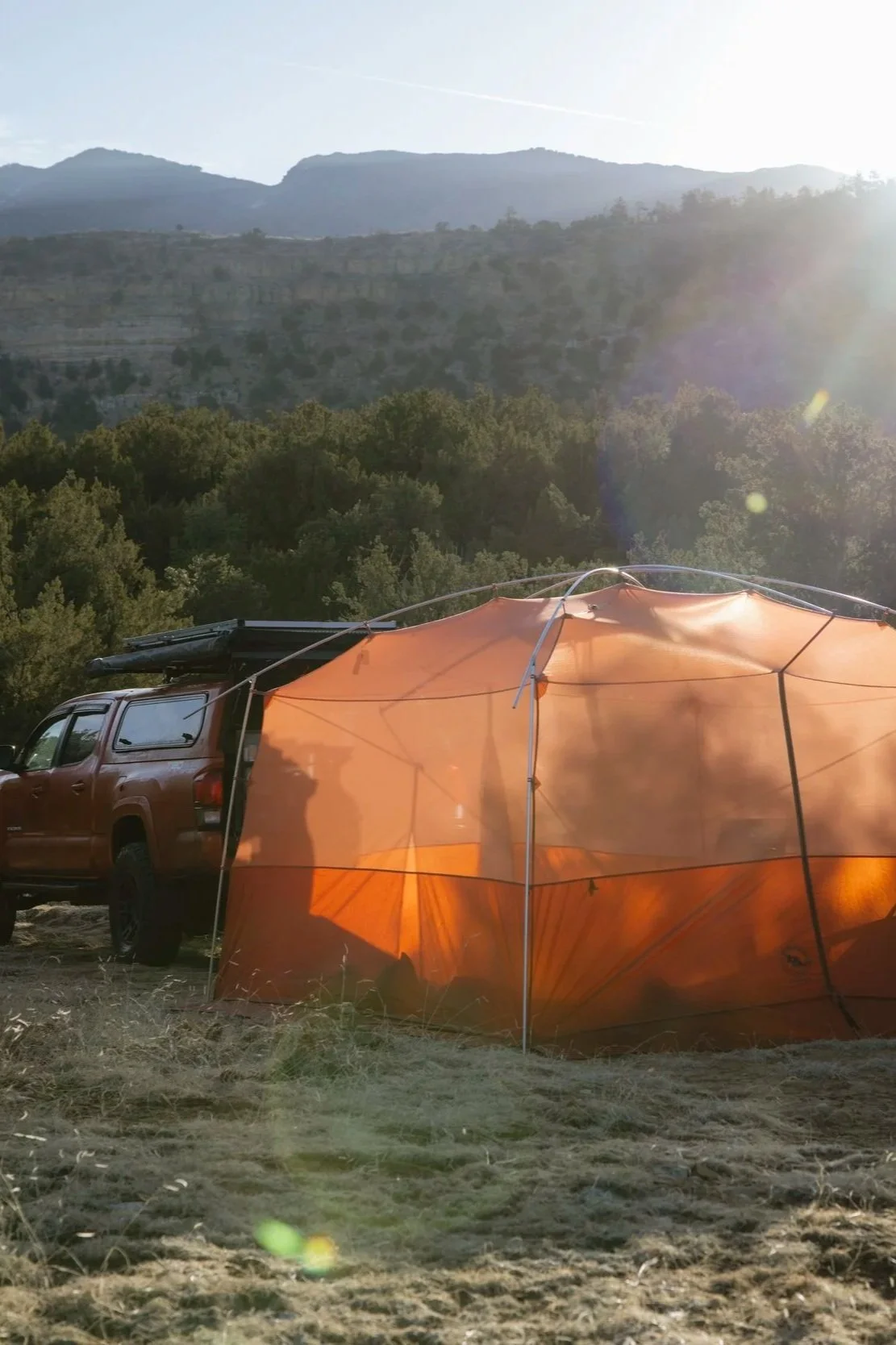 OliverMicheli_BigAgnes_Jalen.jpg