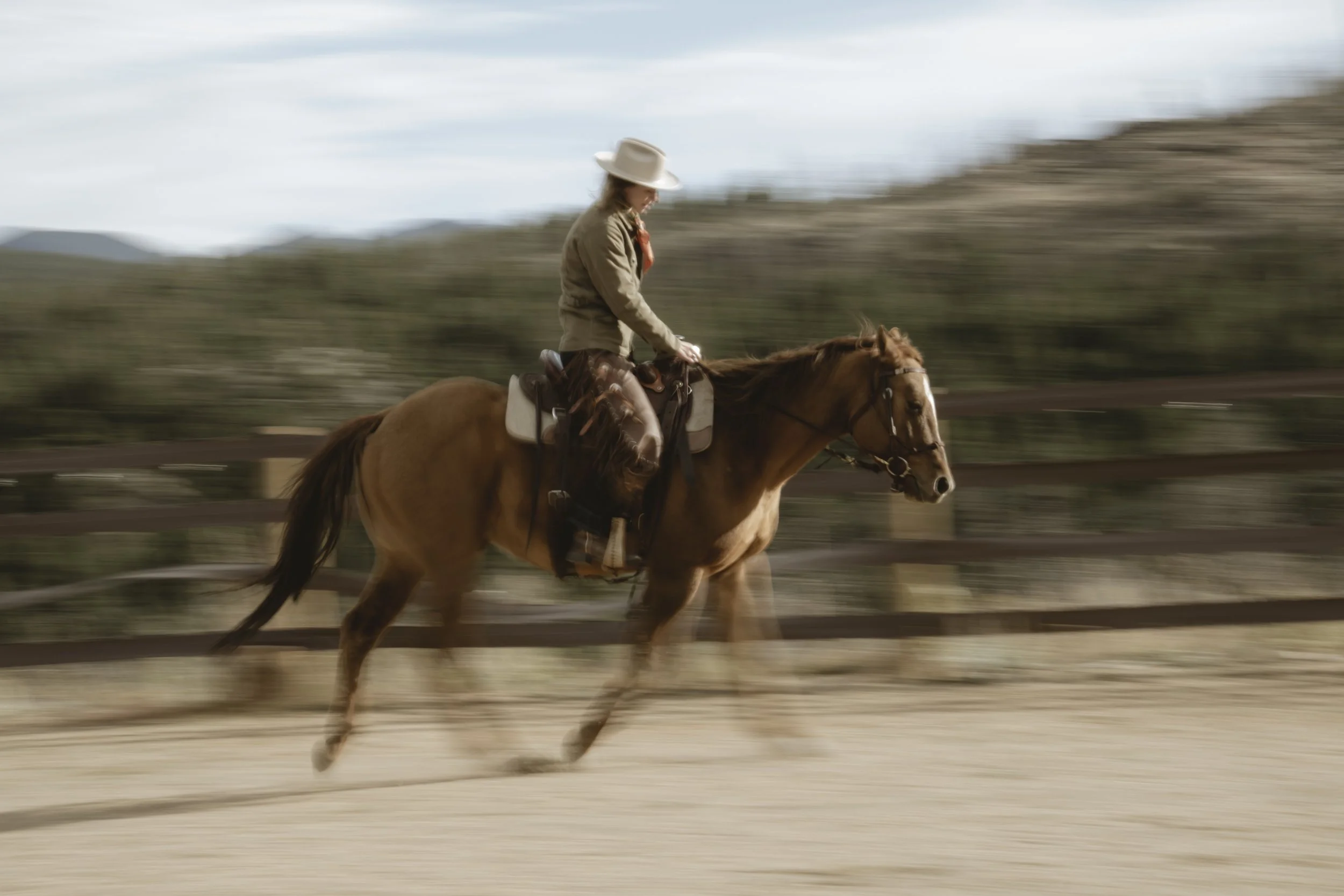 OliverMicheli_Bailey_Cowboy-17.jpg