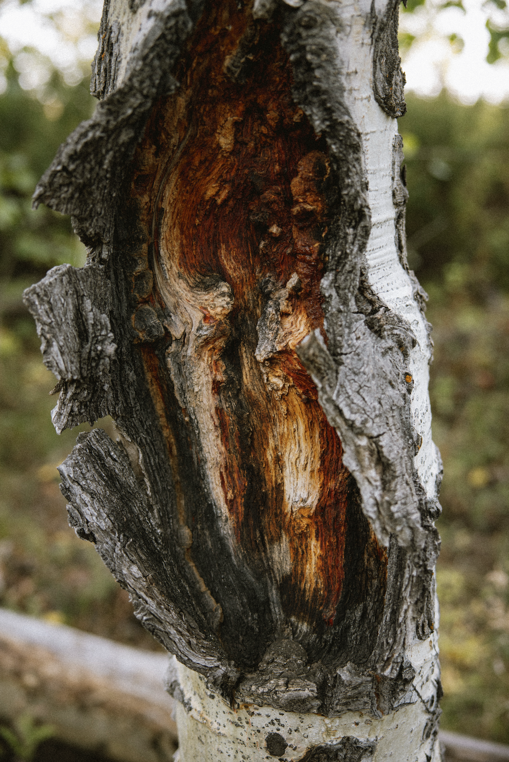 Screenshot 2025-11-08 at 11.24.04 PM.png