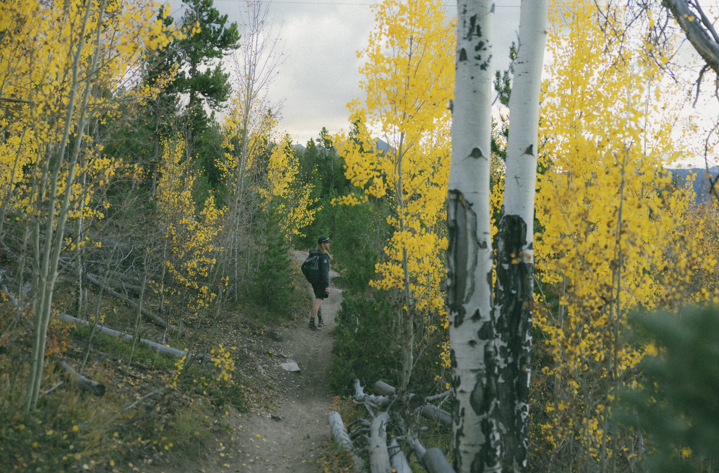 Screenshot 2025-11-08 at 11.16.19 PM.png