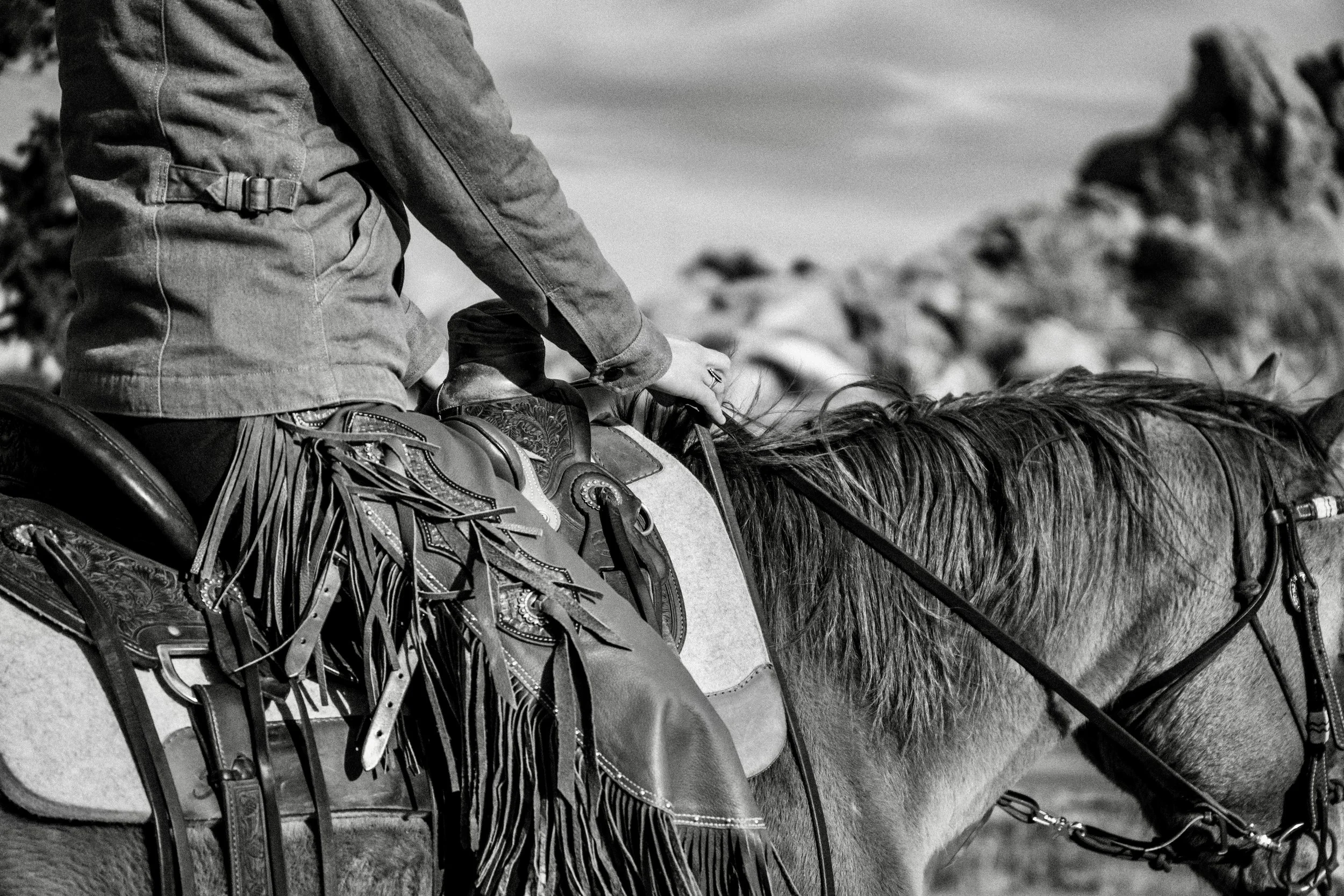 OliverMicheli_Bailey_Cowboy-11.jpg