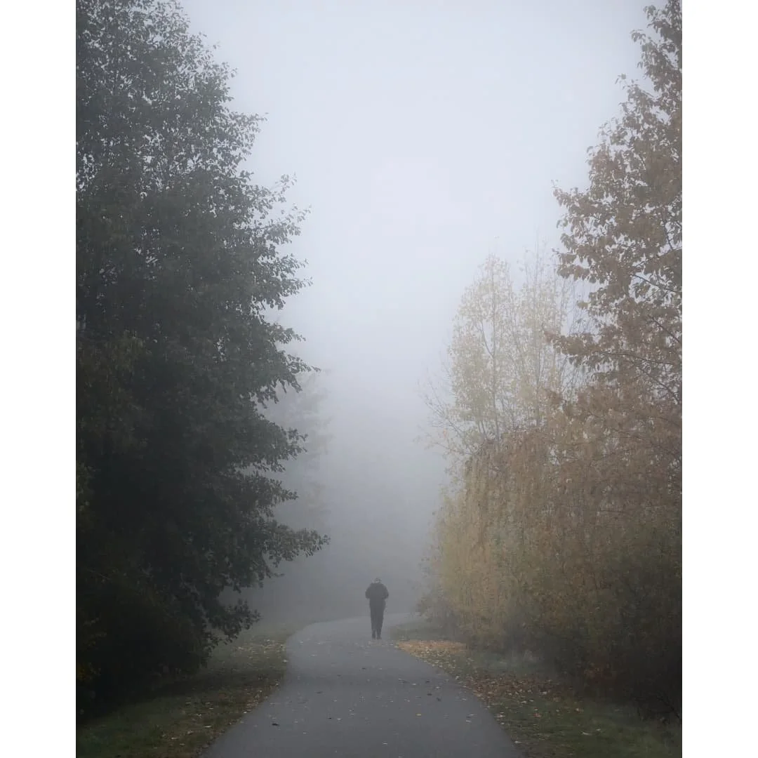 Novemberdays... and nights
#landscape 
.
#herbst #herbstzeit #see #lake #foggy #nebel #november #ig_leipzig #canondeutschland