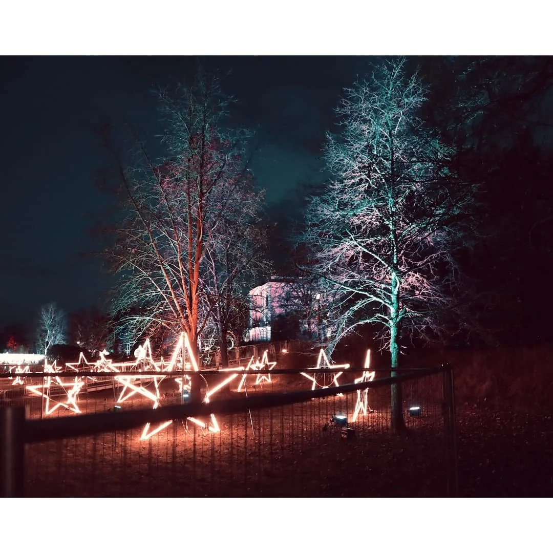 Let there be light...
Visiting @christmasgarden_official in Leipzig.
#ilovechristmasgarden #ilovechristmasgardenleipzig #christmasgarden #christmasgardenleipzig #christmas #weihnachten #weihnachtsdeko #event #beautiful #photography