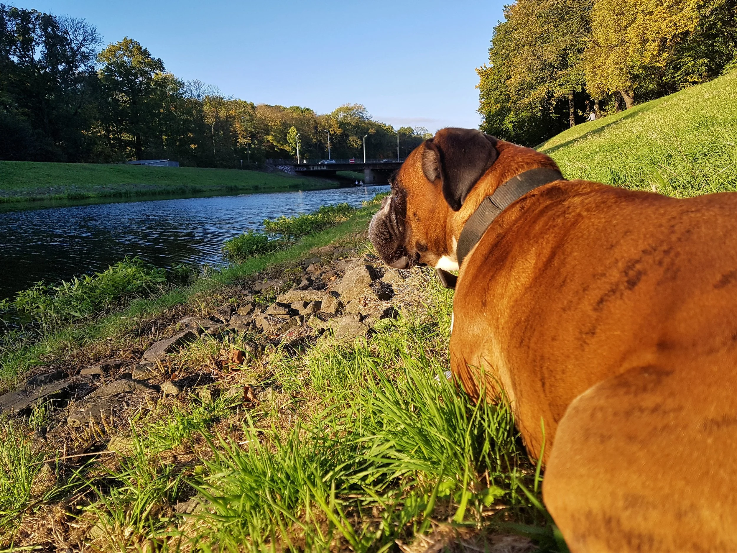 20171014_170404.jpg