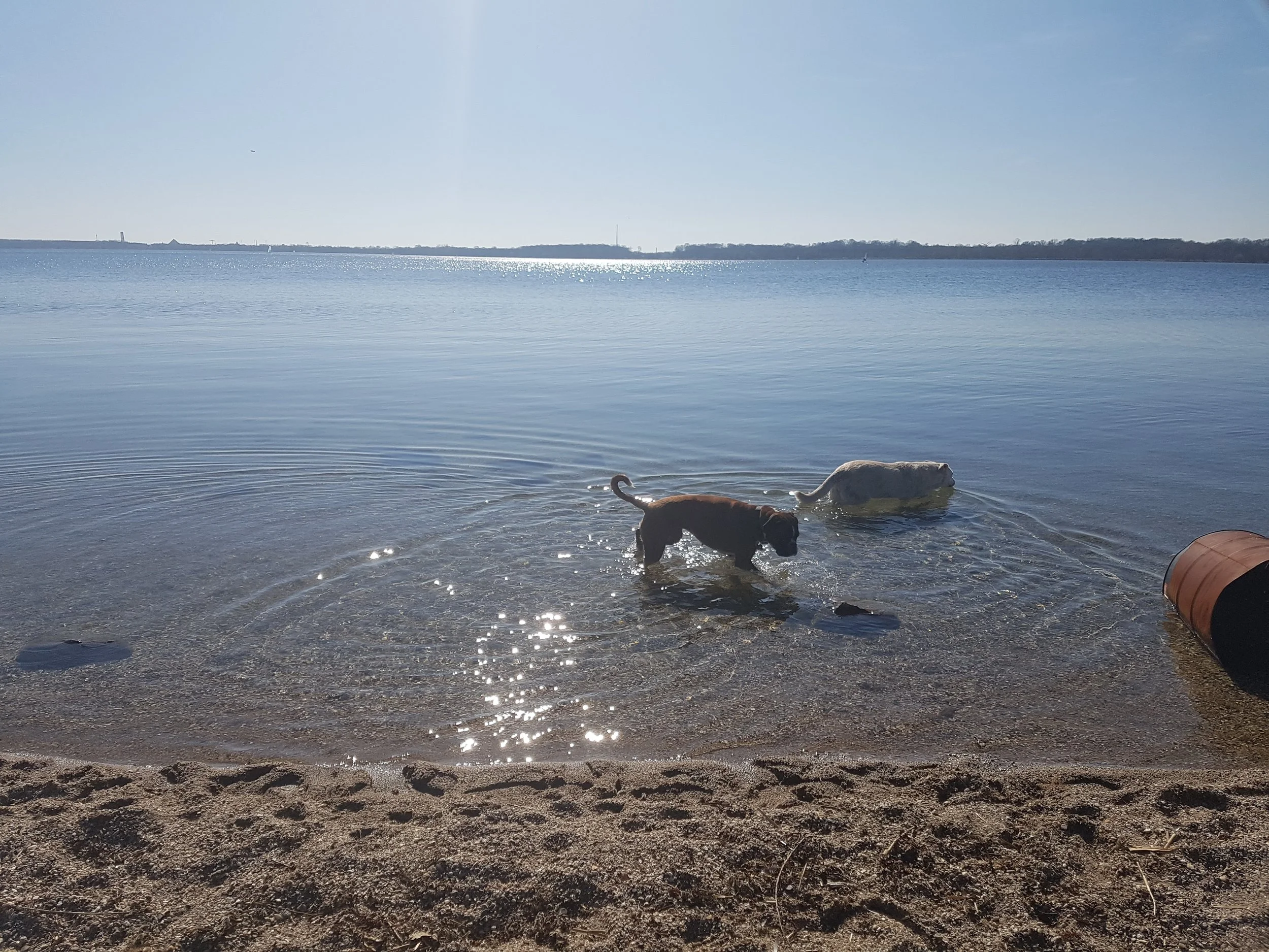 20180407_154405.jpg