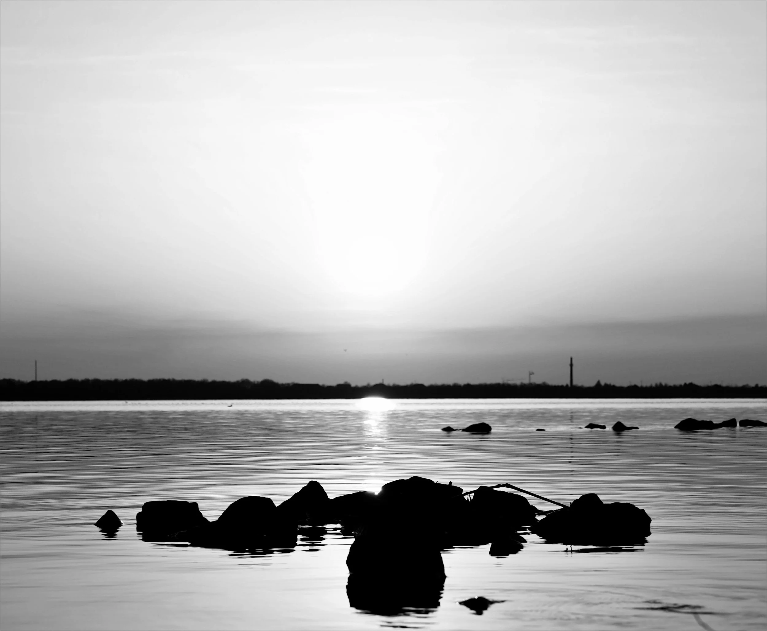 20220325_011040.jpg