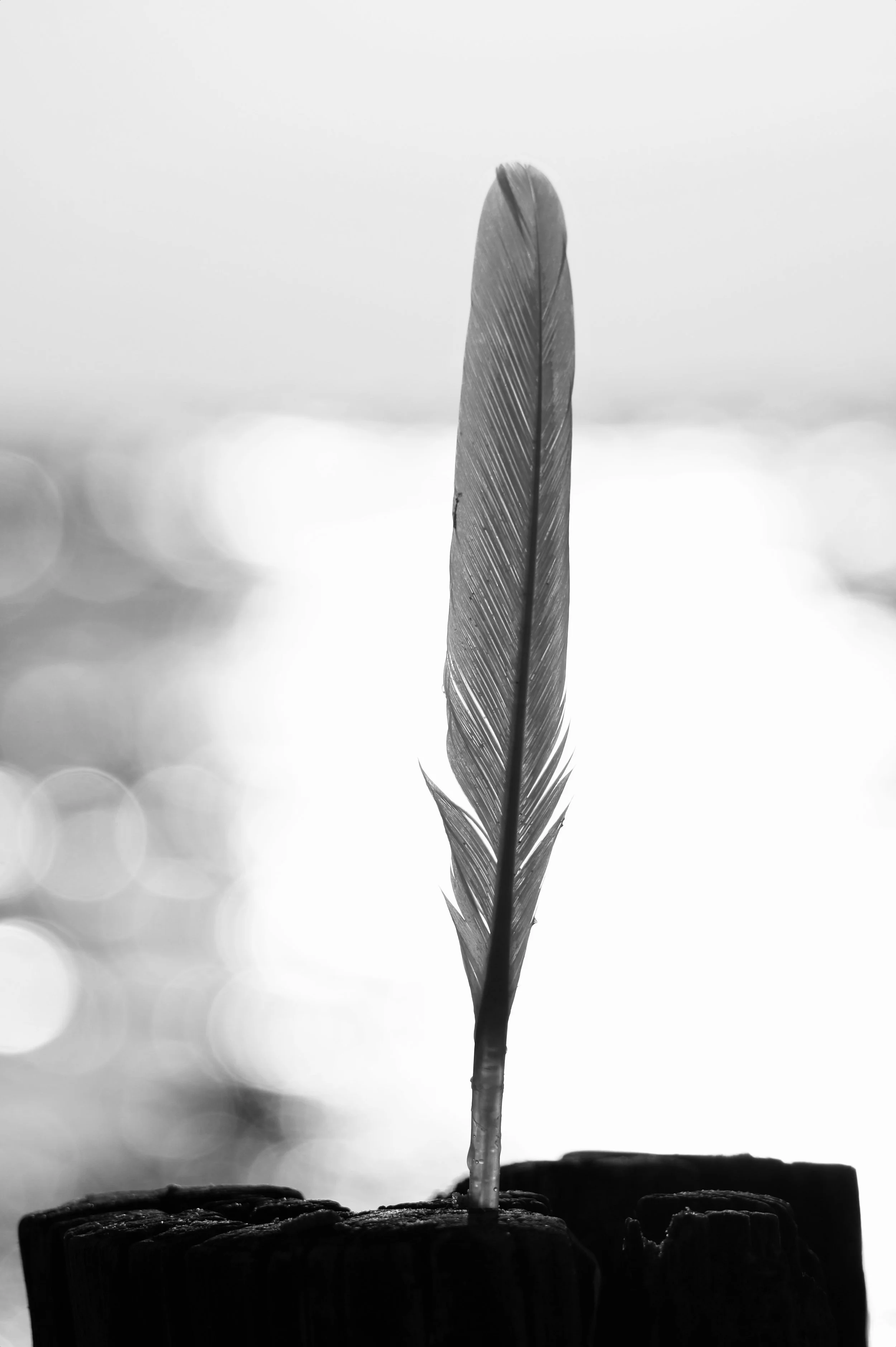 20240701_114255.jpg