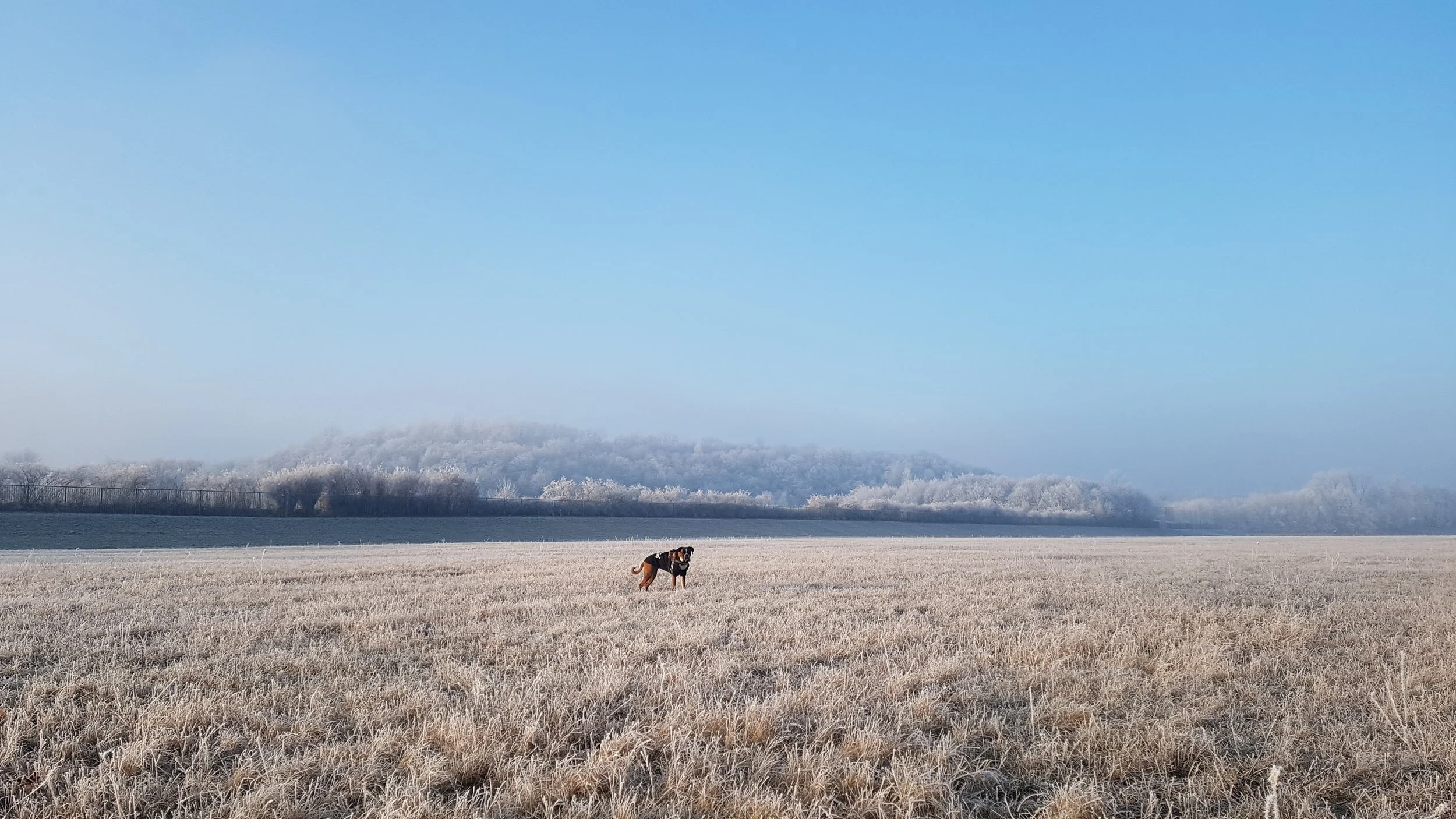 20190121_151548.jpg