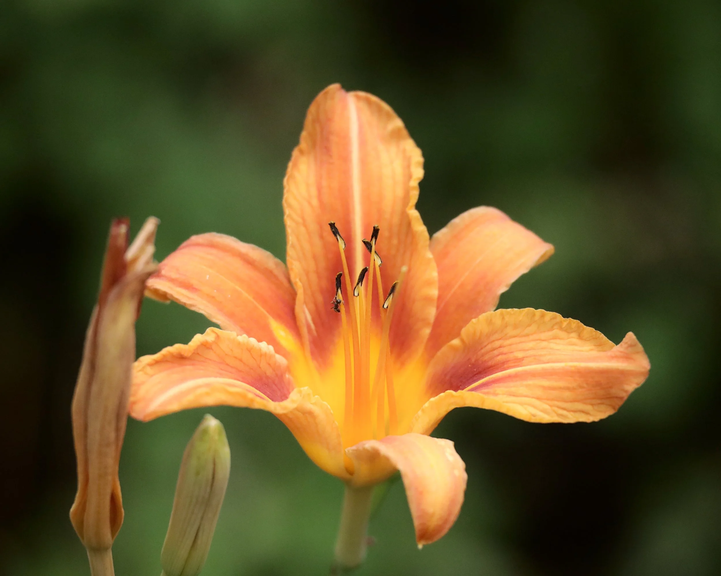 ER0A1974 - Kopie.JPG