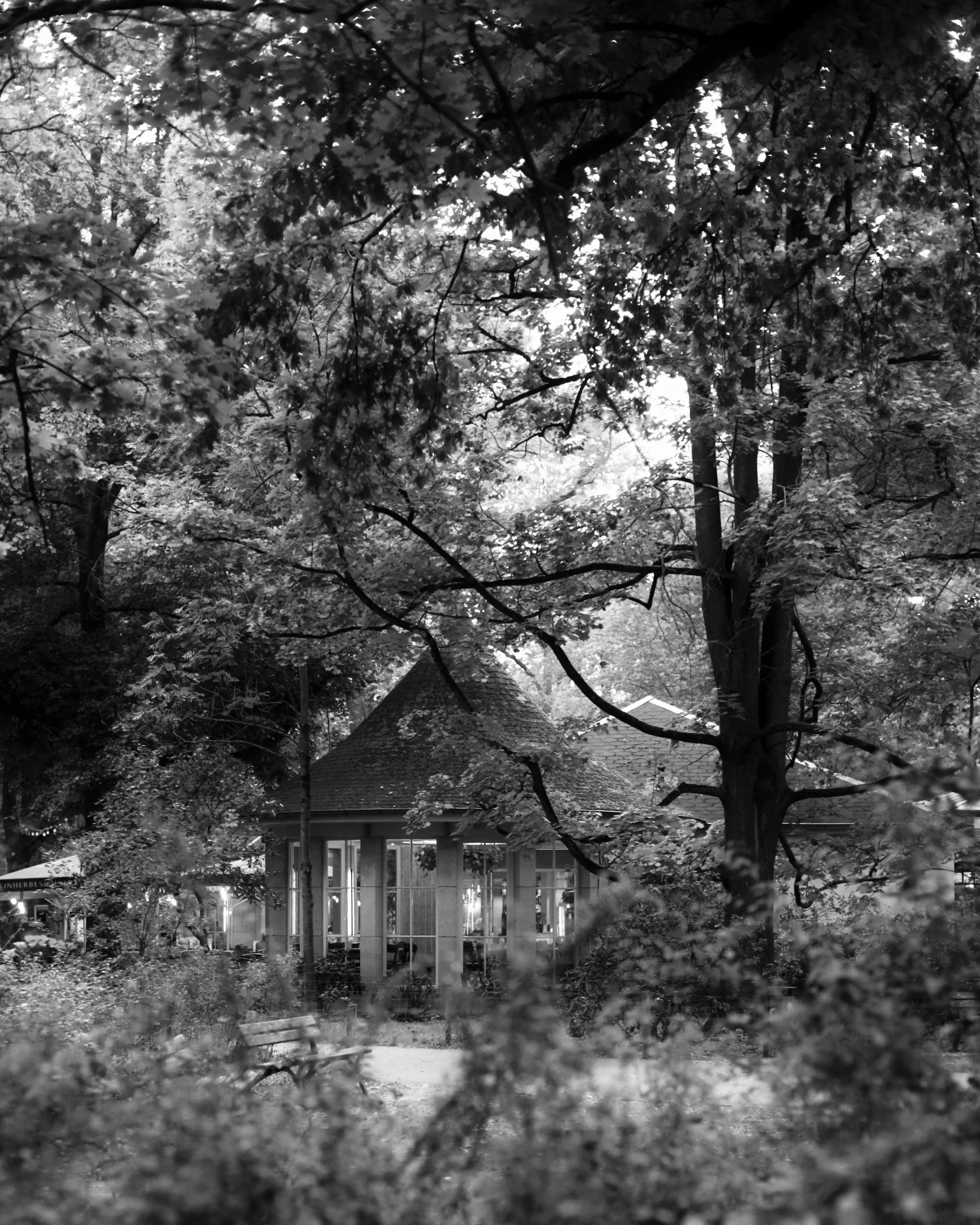 20240920_030140.jpg