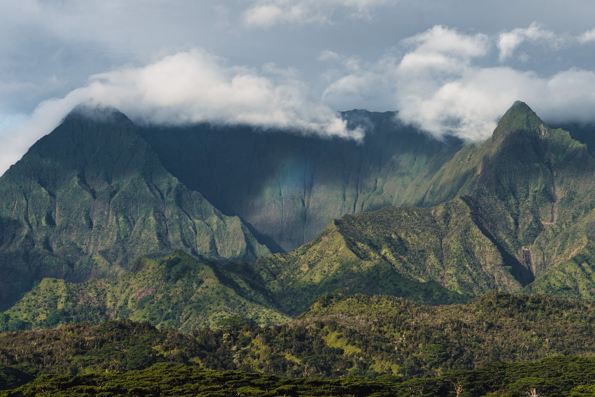 _DSC6263-2.jpg