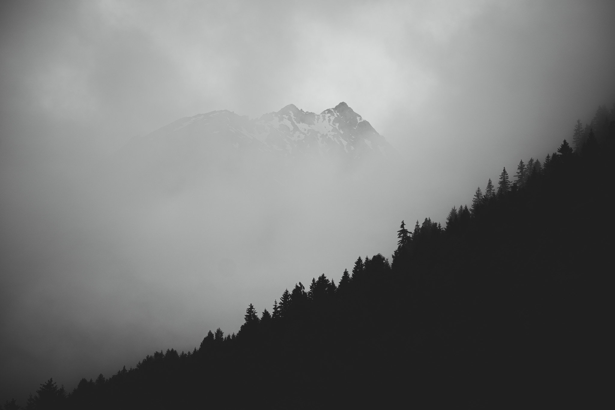 _DSC3887.jpg