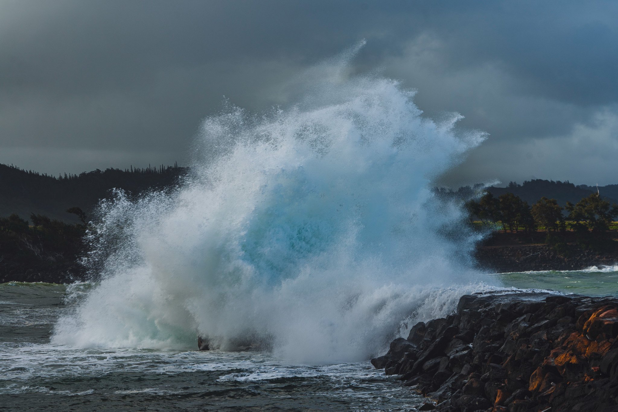 _DSC6993.jpg