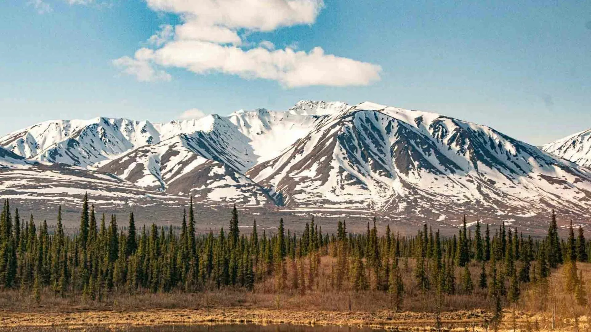 Snow-capped mountains rise above a boreal spruce forest in Alaska, with tundra wetlands in the foreground — prime travel trailer rental country under a partly cloudy sky