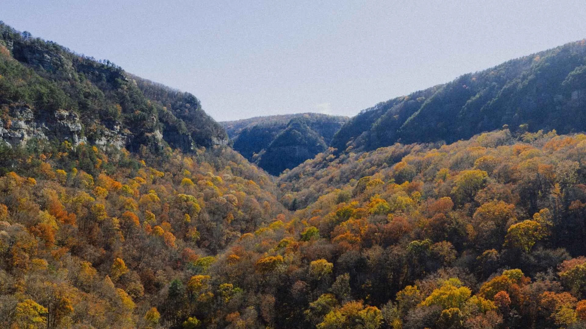 Fall foliage filling the gorge at Tallulah Gorge State Park near Athens, Georgia — a top day trip destination for travel trailer rentals in the region