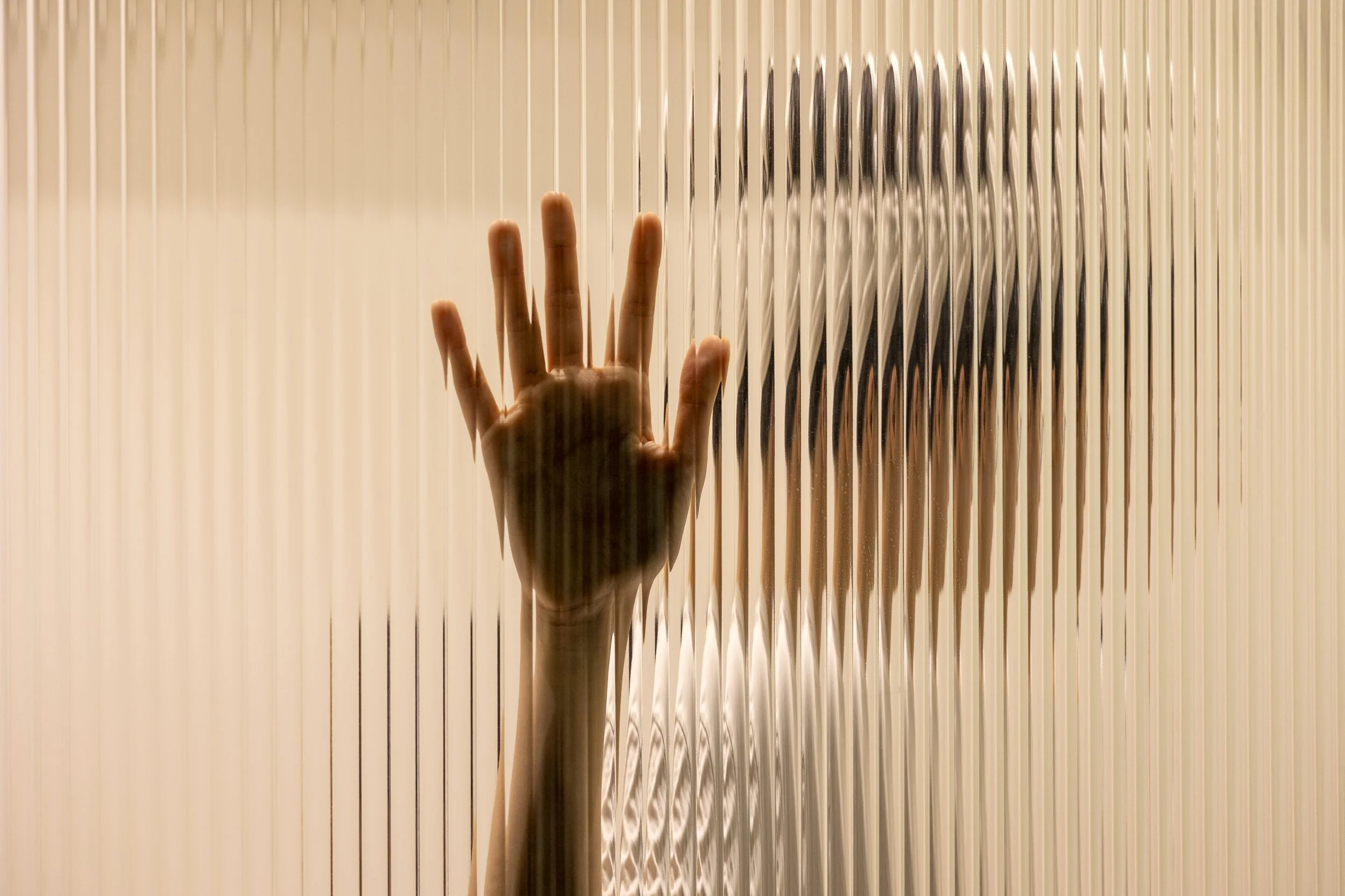 iStock-1458832449.jpg