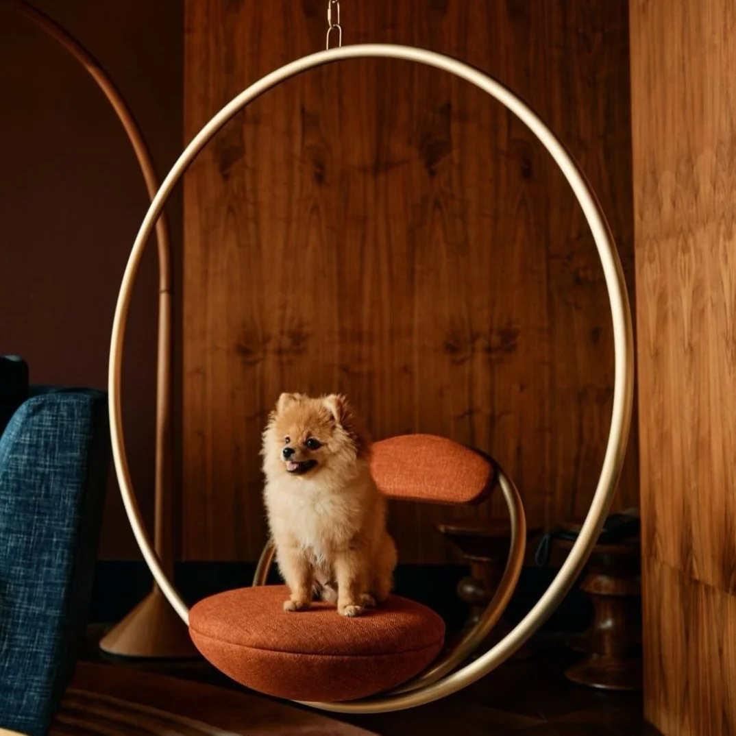 Nobu Insta_Penthouse_miley cyrus.jpg