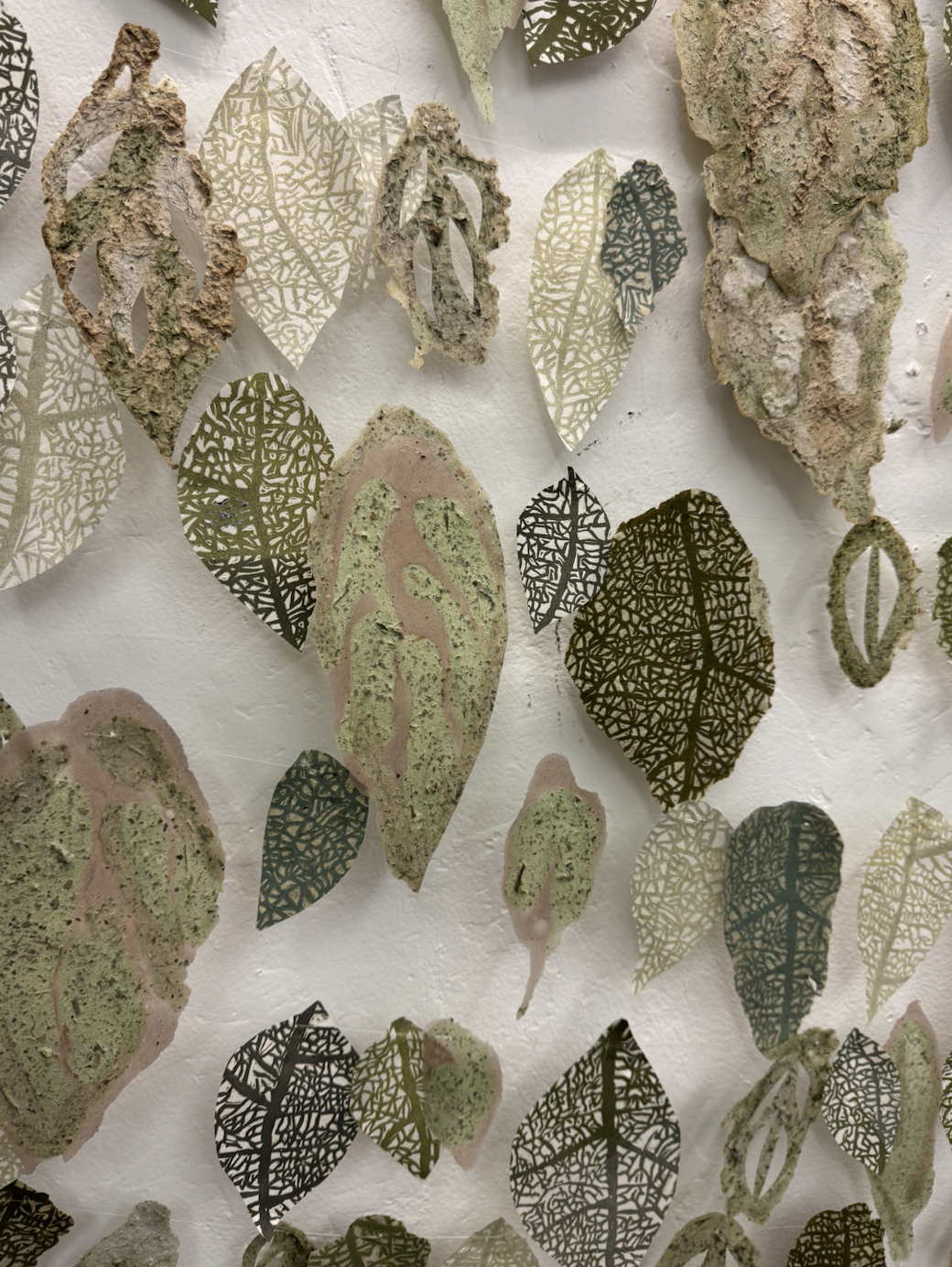 order in nature leaves close up2.png