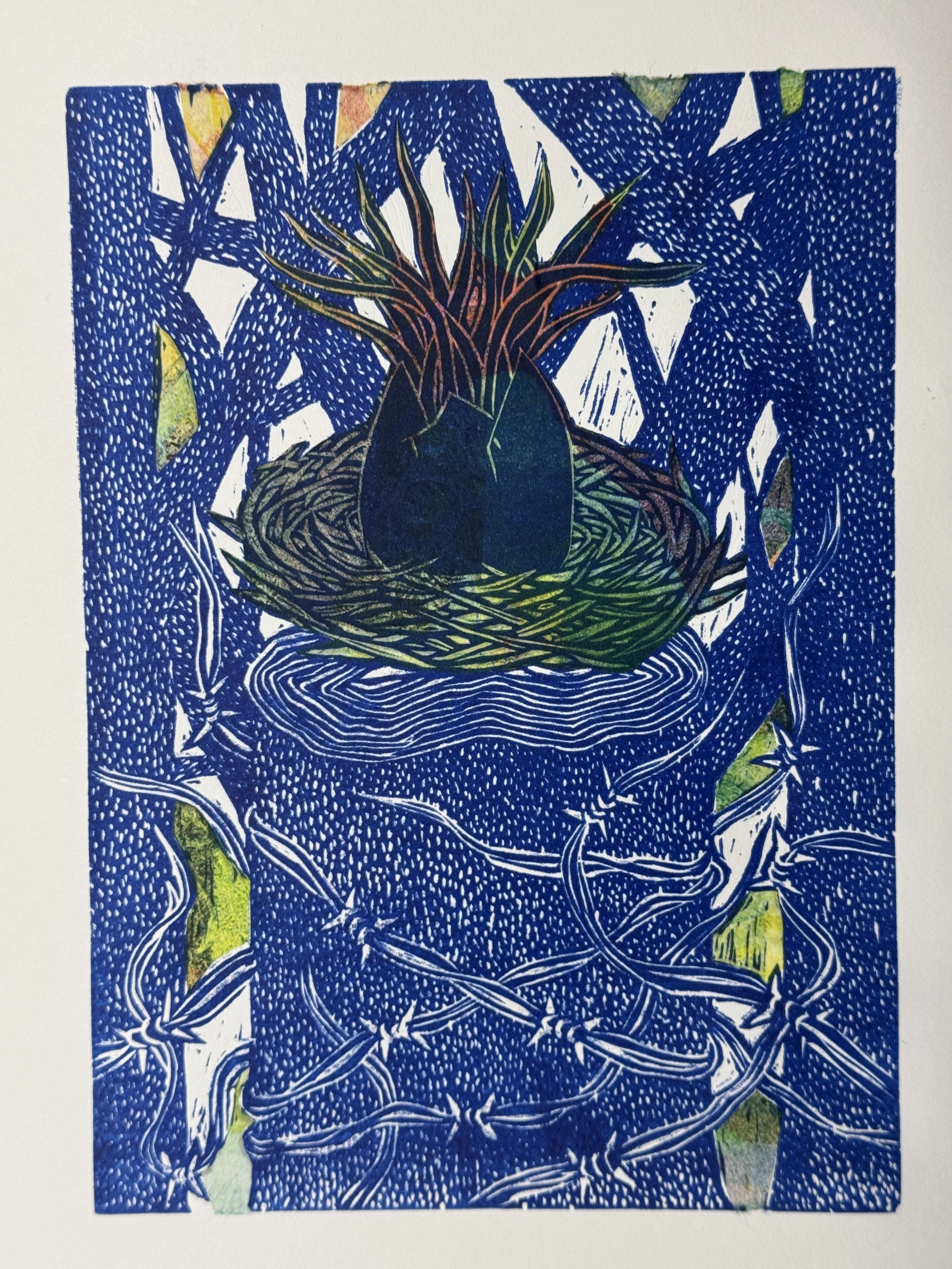 New Nest