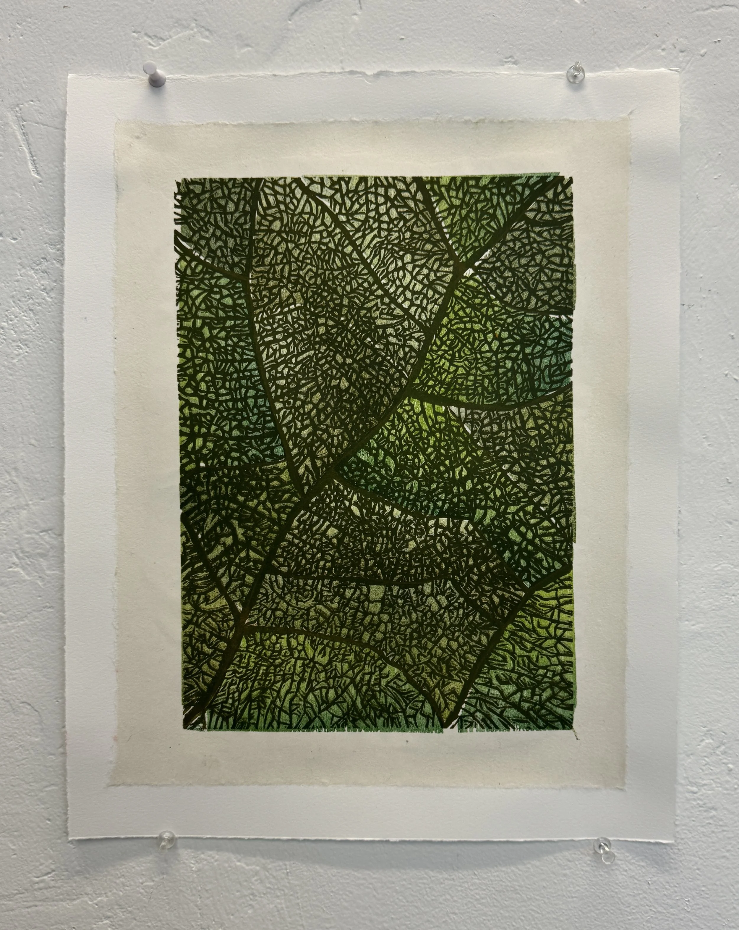 leaf veins.jpg