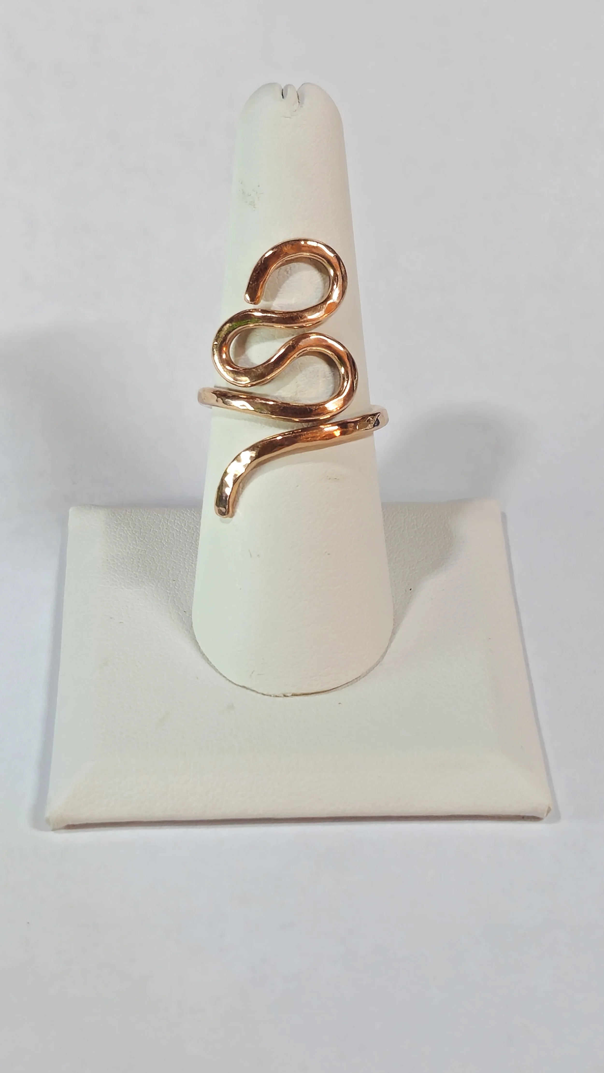 Serpent’s Embrace  .jpg