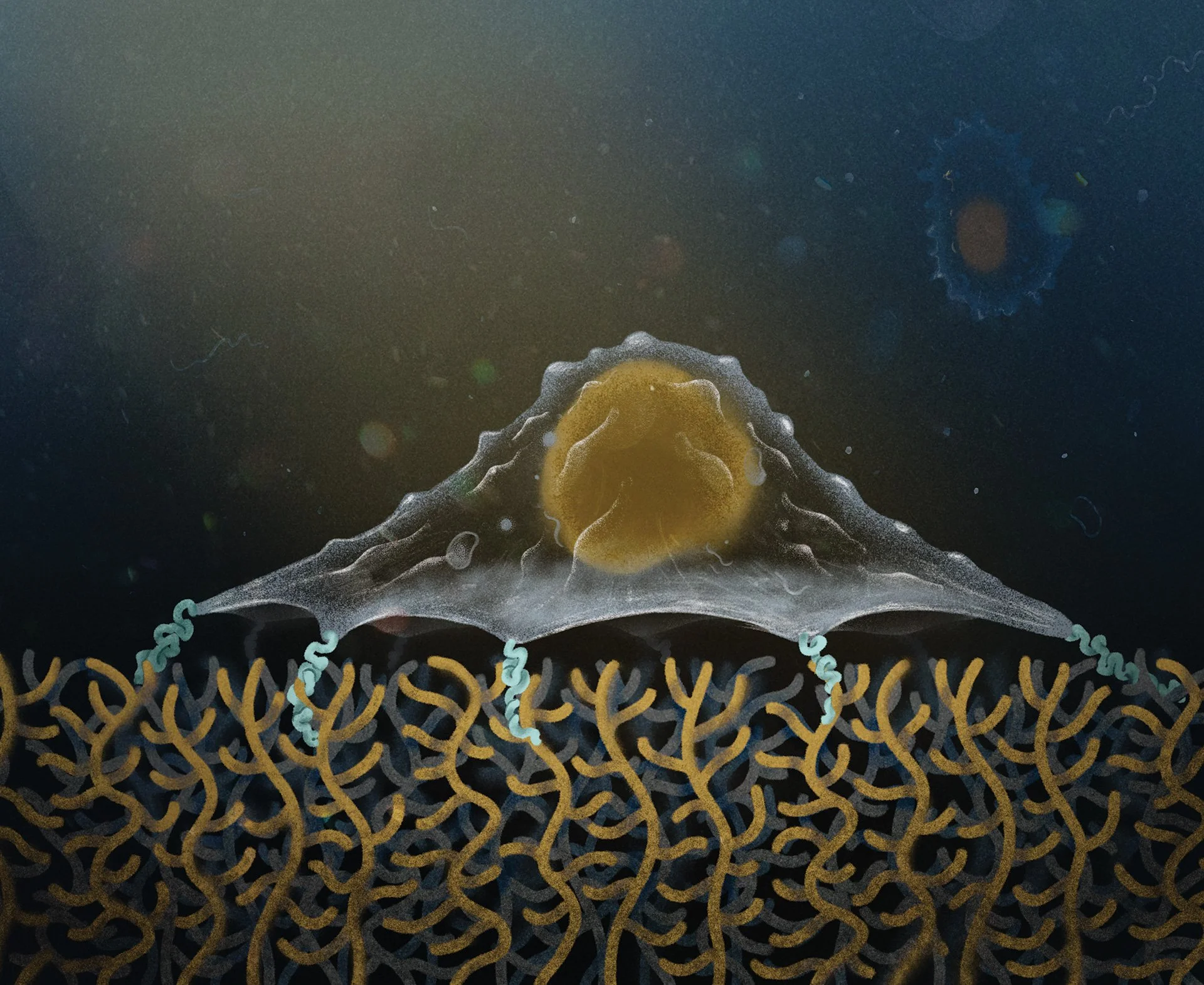 Cell-Stres-[preview].jpg