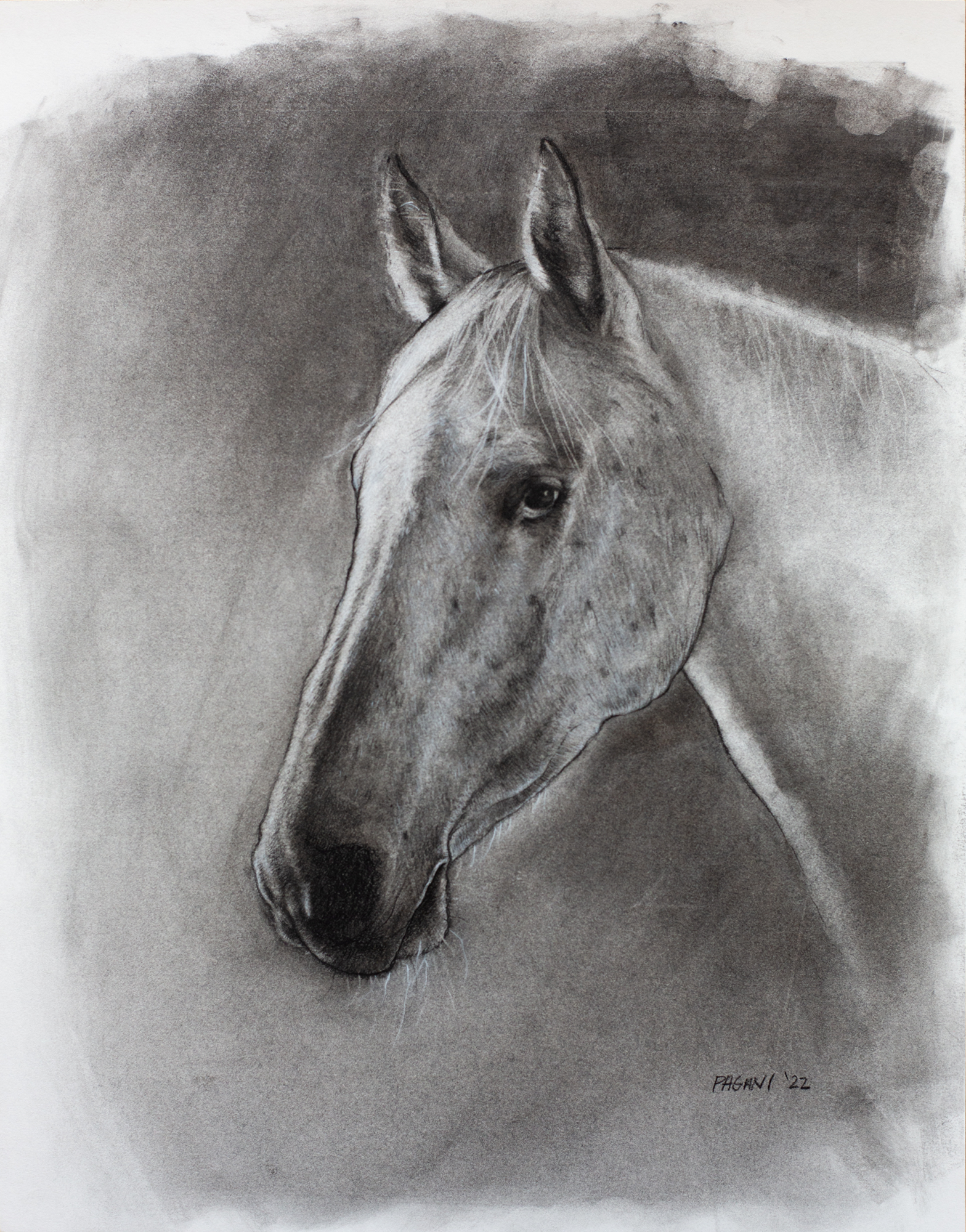 Milagro
Charcoal | 11 x 14 in.
2022