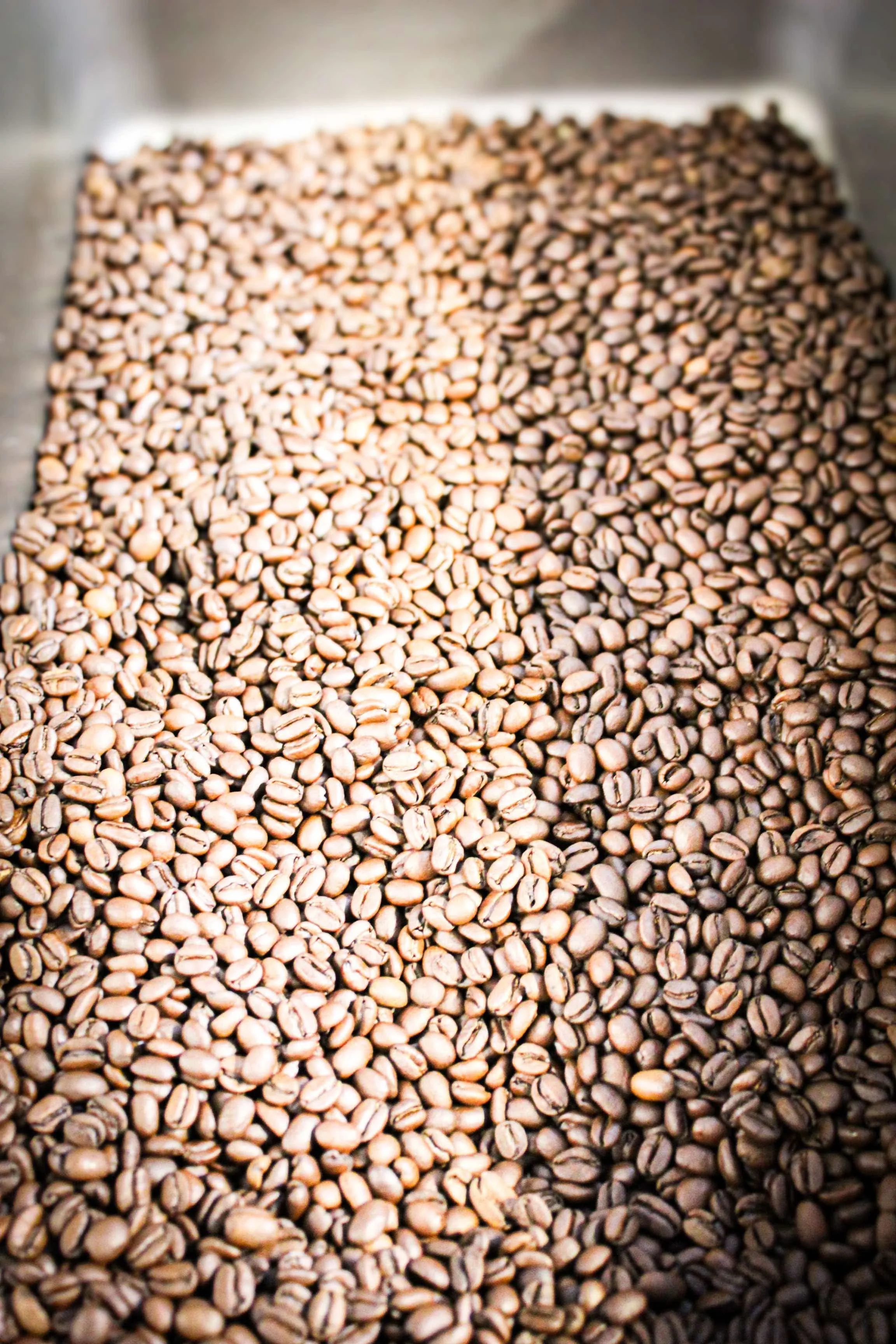 Variety Subscription