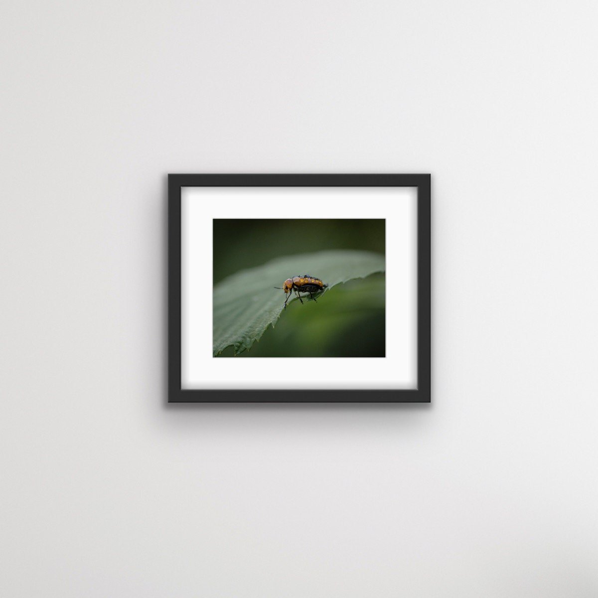 https://i.etsystatic.com/47118236/r/il/cb3b8c/5900382936/il_fullxfull.5900382936_sdxl.jpg