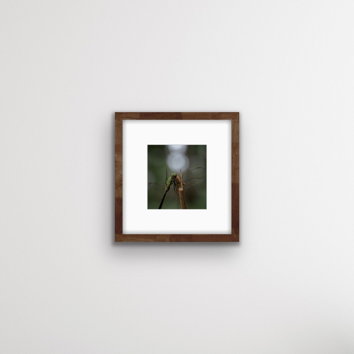 https://i.etsystatic.com/47118236/r/il/3c624d/5948436281/il_fullxfull.5948436281_14lr.jpg